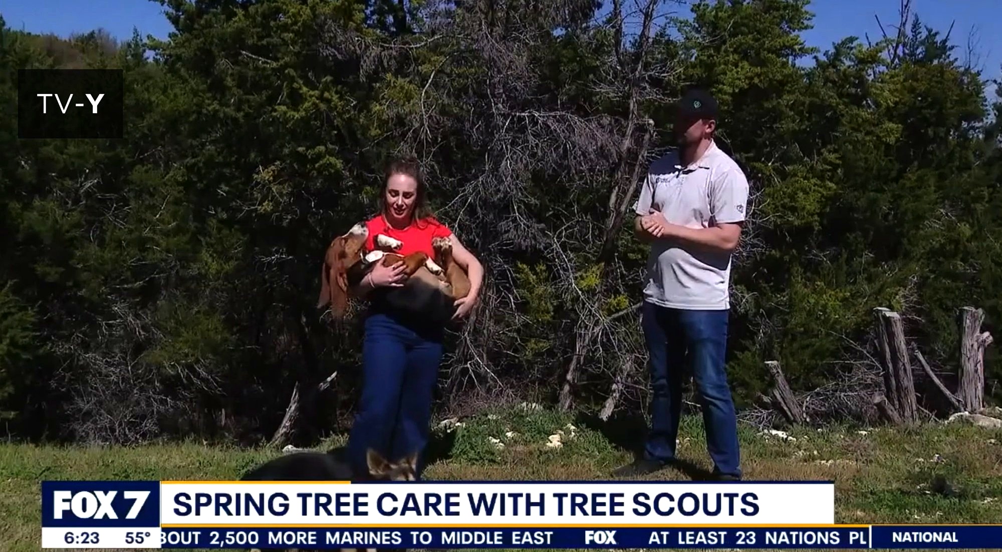 Tree Scouts arborist featured on FOX 7 Austin discussing spring tree care tips for Central Texas homeowners