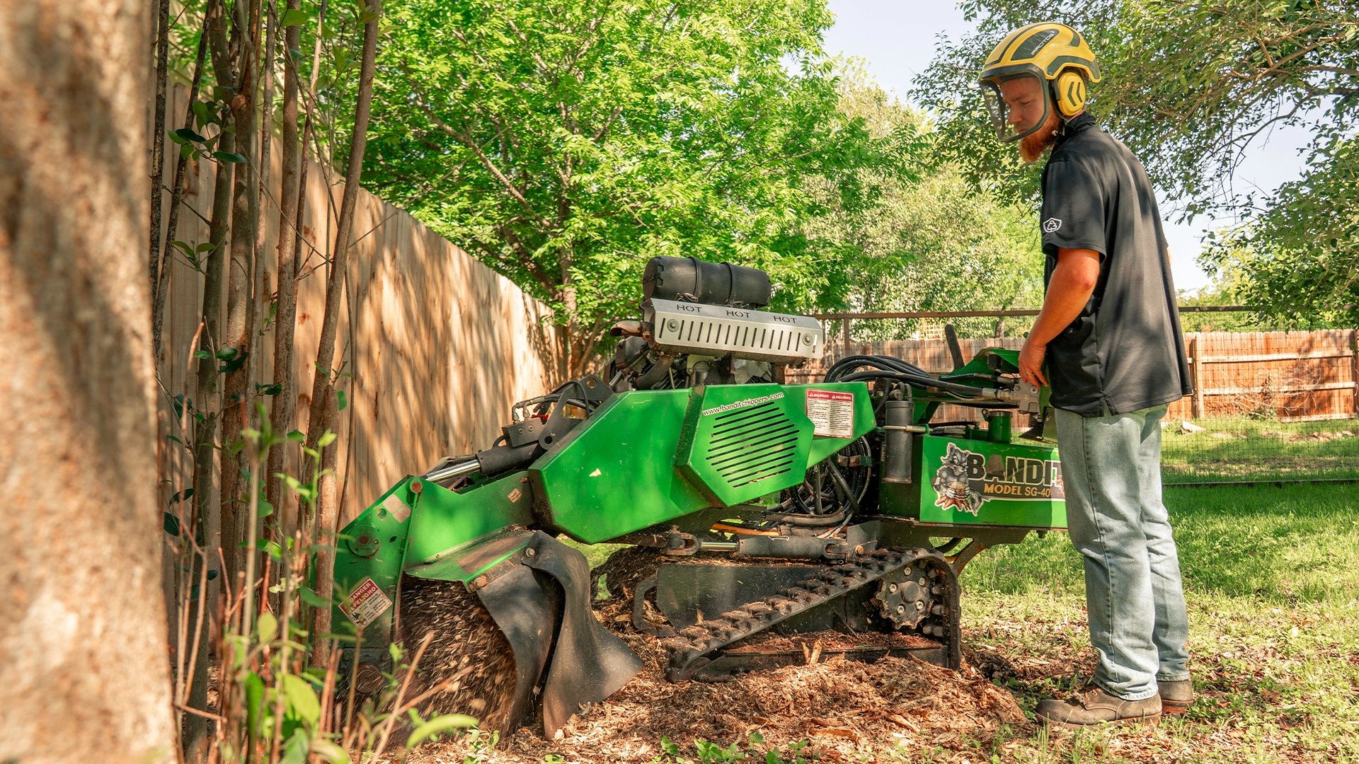 Tree Scouts crew at work in Central Texas