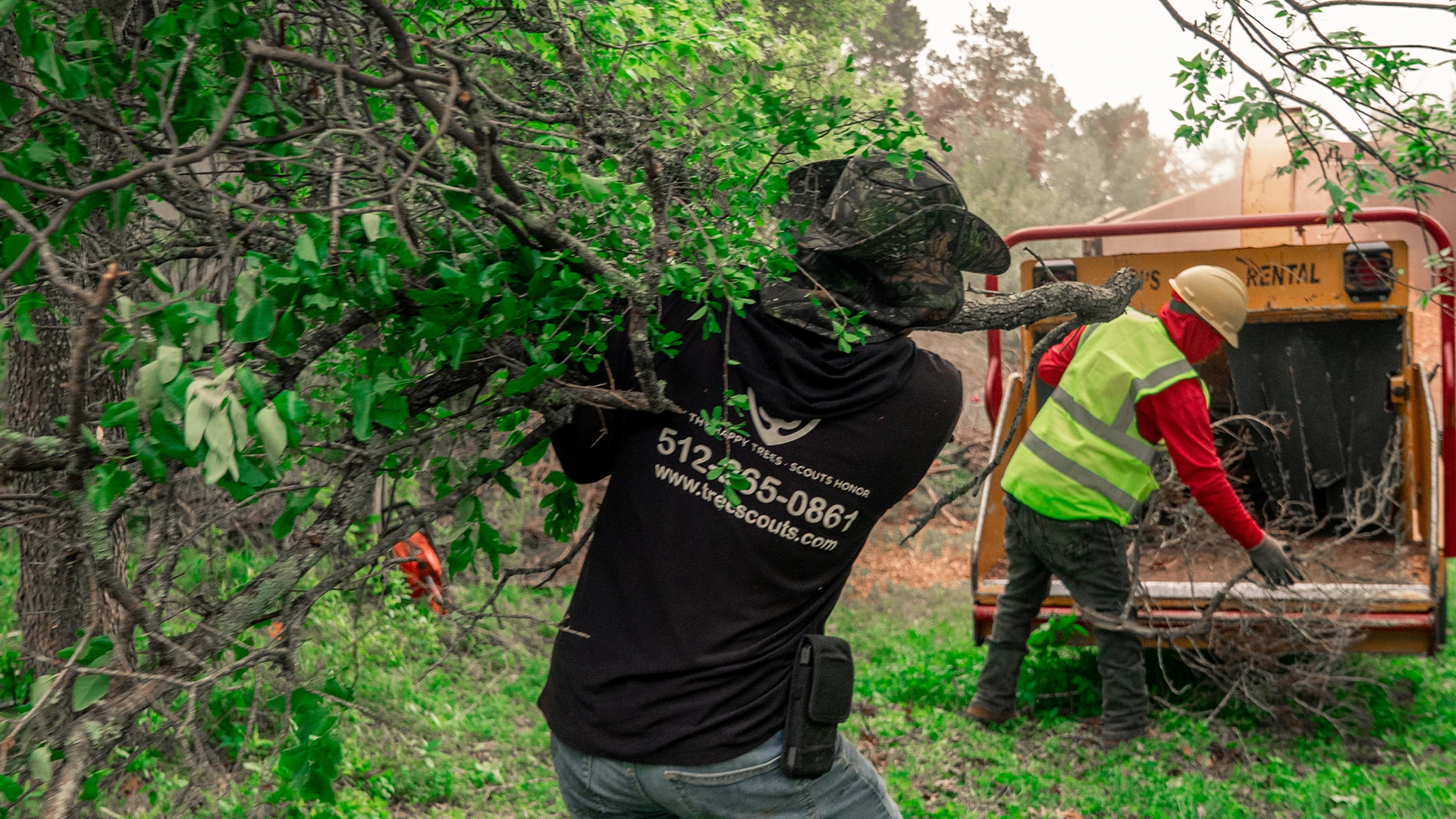 Tree Scouts crew at work in Central Texas