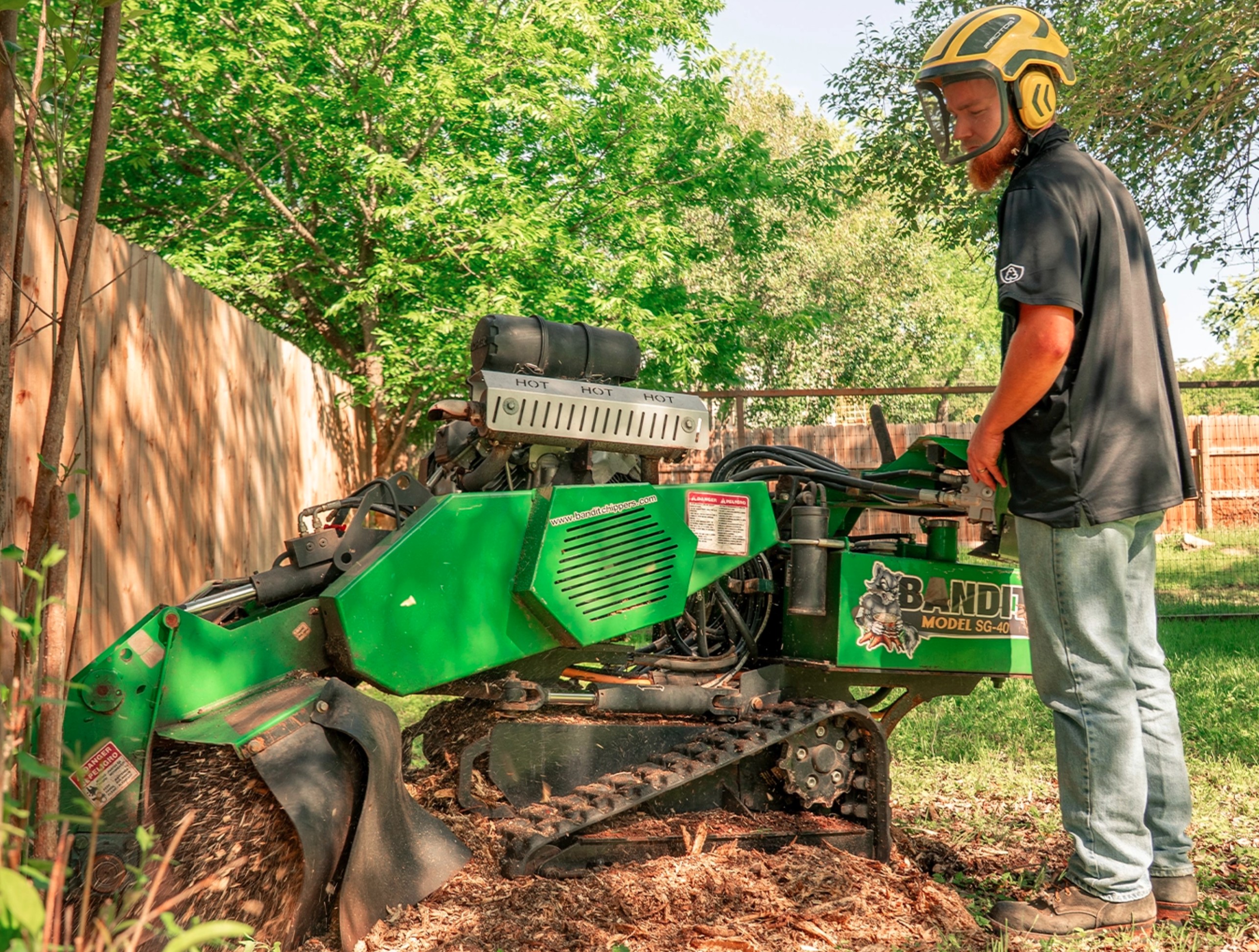 Tree Scouts lead arborist