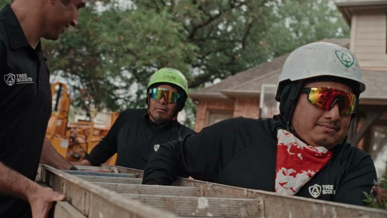 Tree Scouts tree service crew with the Tree Scouts logo in the Relay commercial Nothing's Bigger Than Small Business