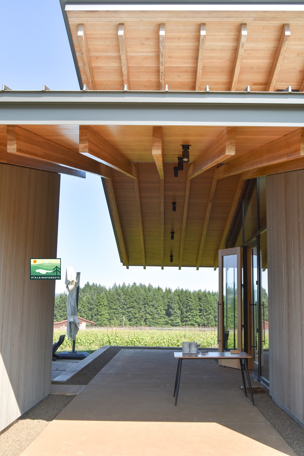 The grand entry way emerges and your are suddenly under warm mass timber CLT and Glulam ceilings. Wine and refreshments are waiting on a table for you. 