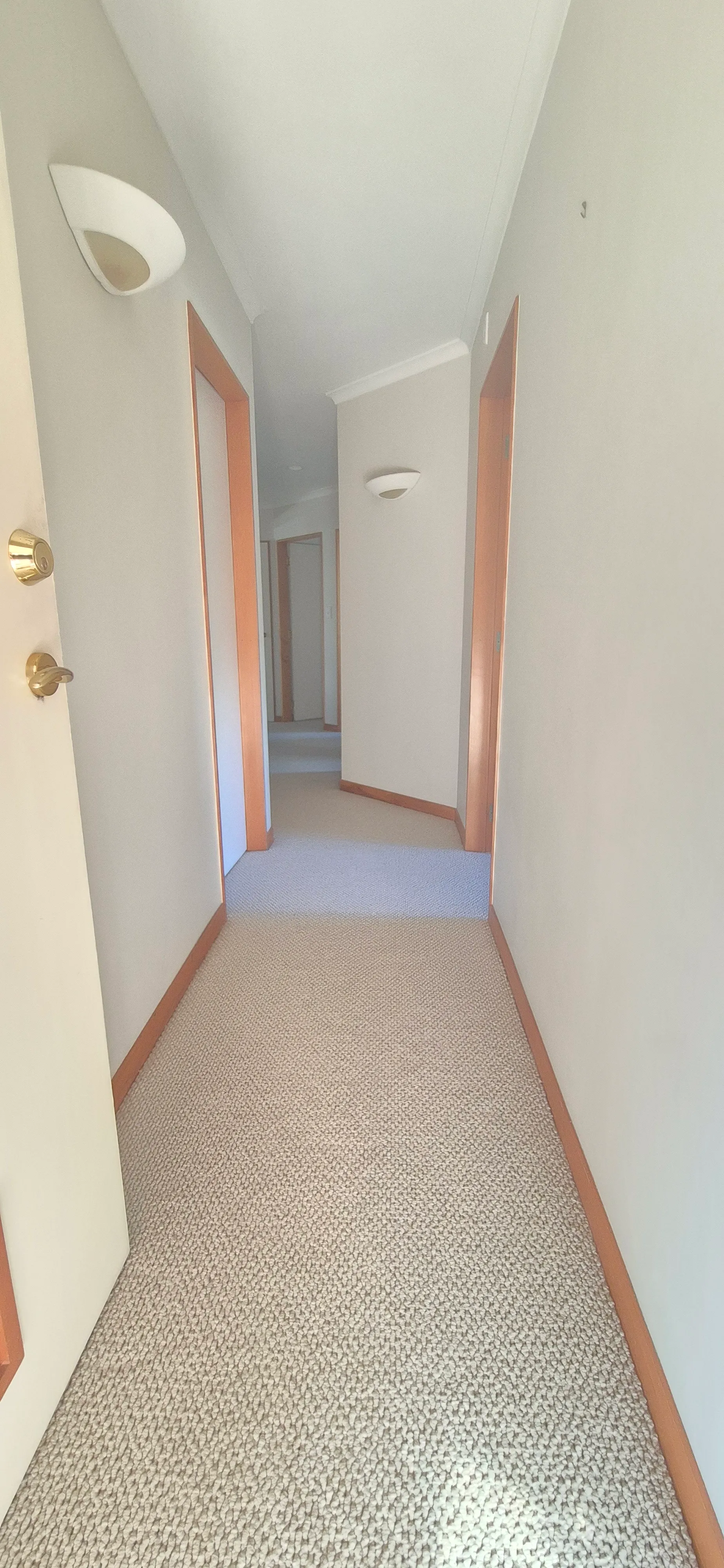 Beige loop pile carpet laid down a hallway in a Tauranga home