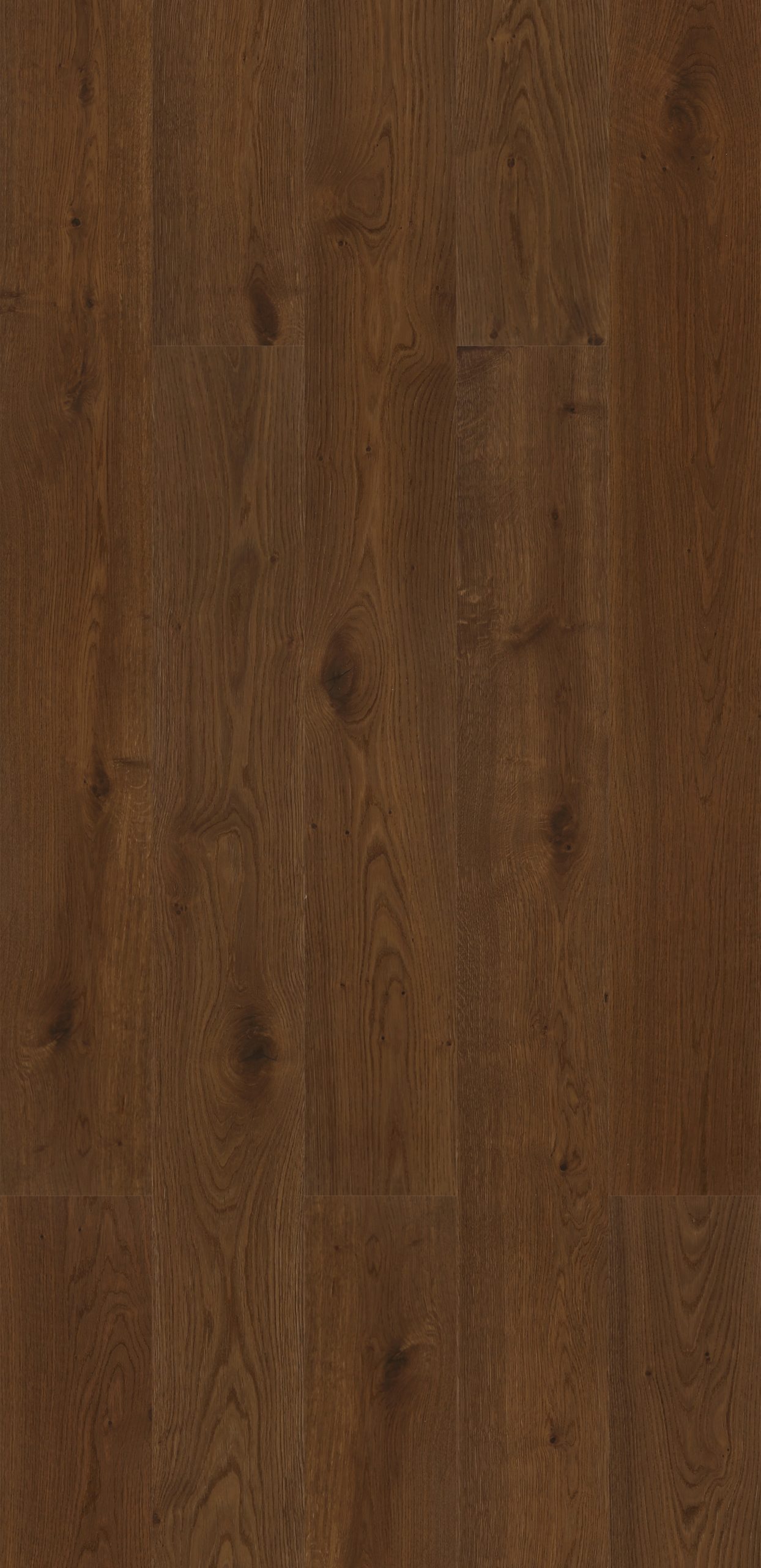 Revive XL Timber Caramel Roast 260mm wide European oak engineered flooring