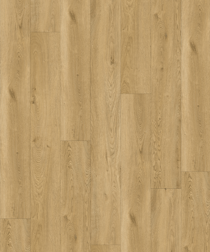 Classic Oak