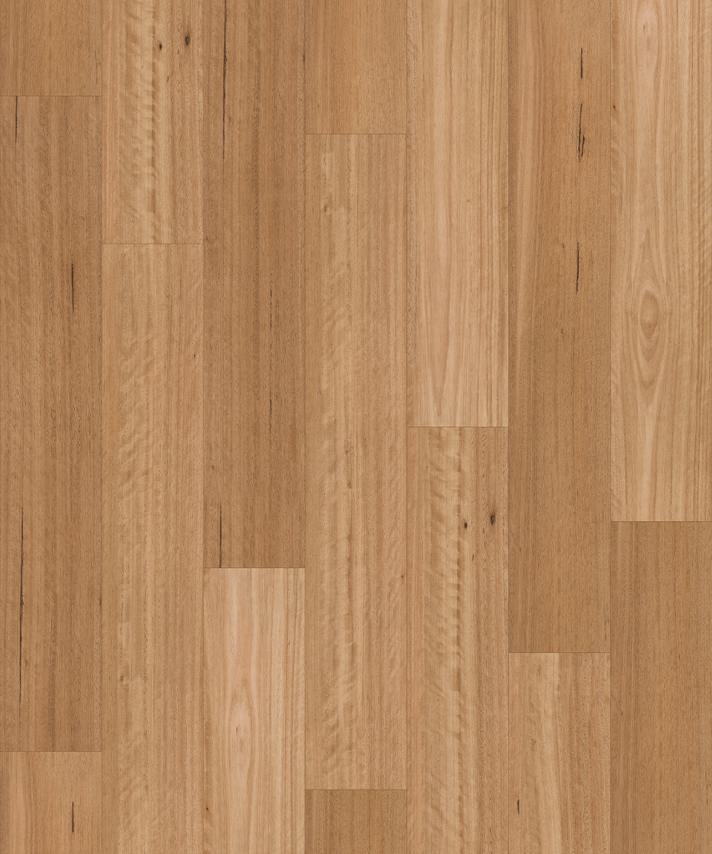 Sanded Blackbutt