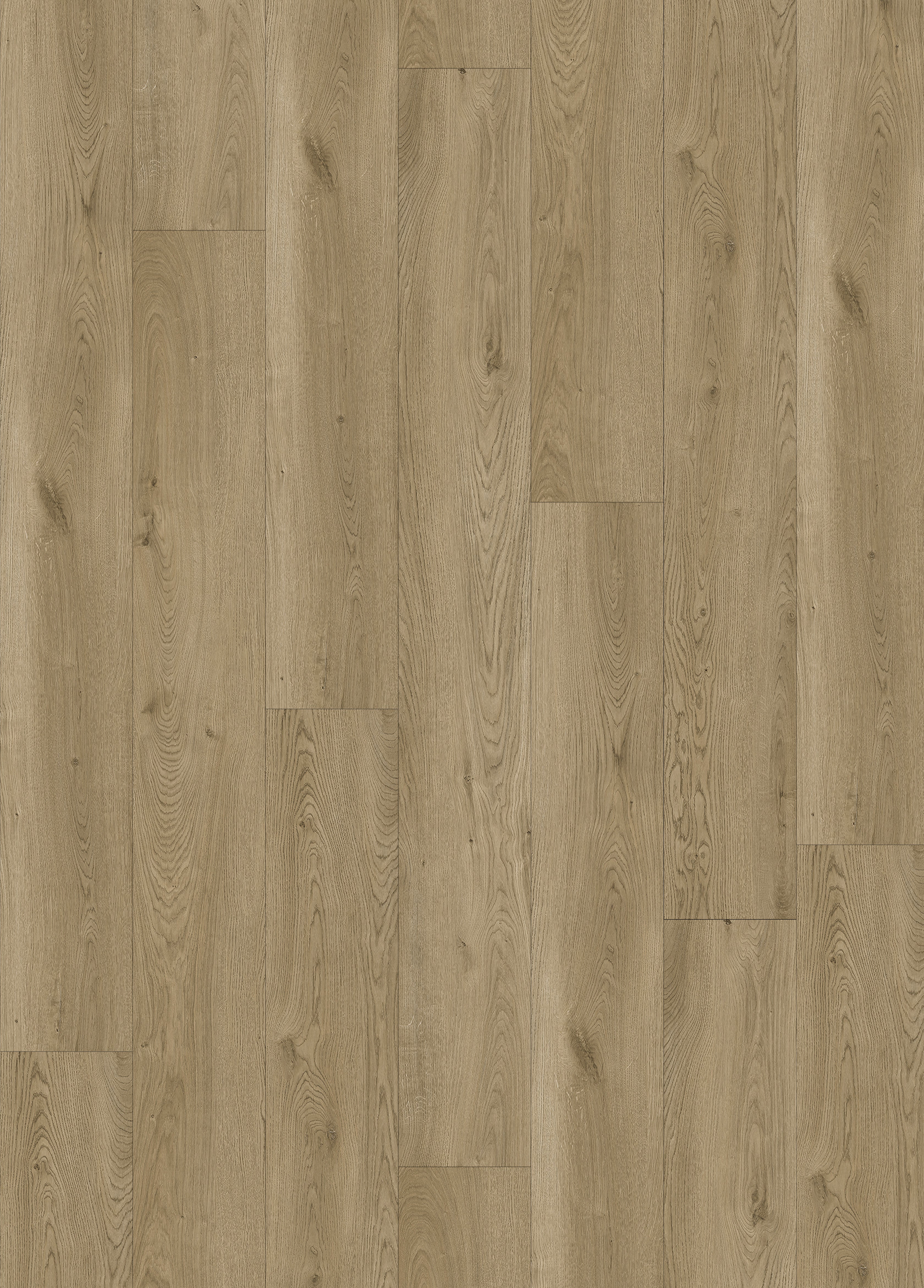 Warm Oak