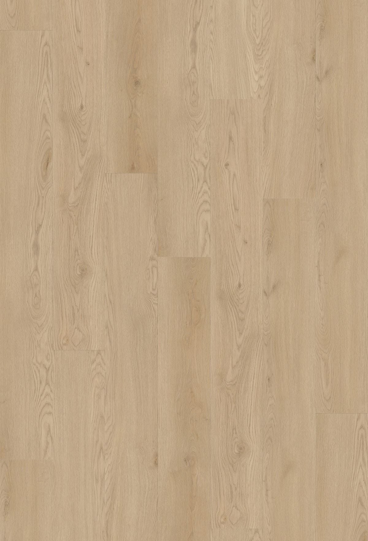 Jamieson Oak