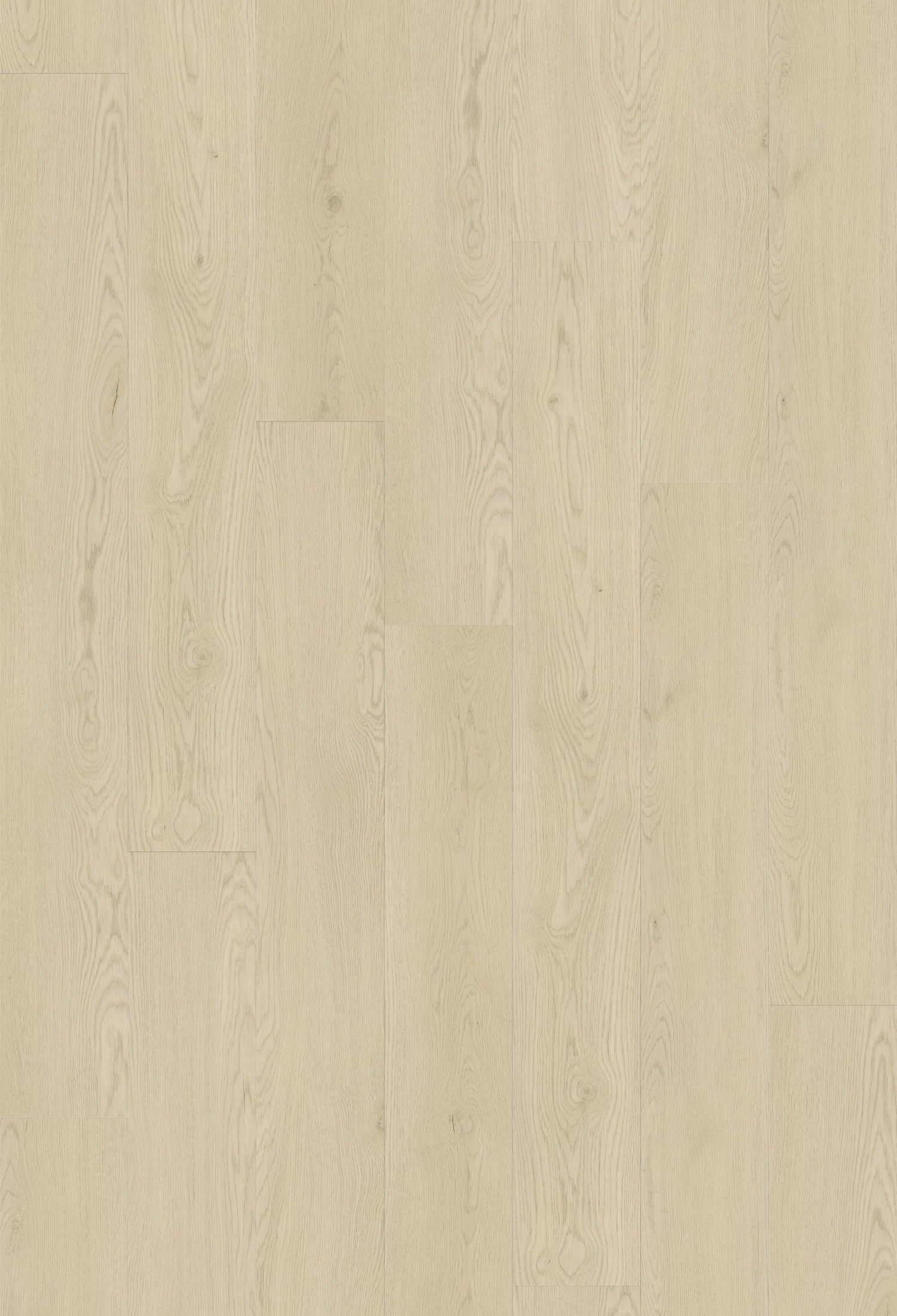 Chardonnay Oak