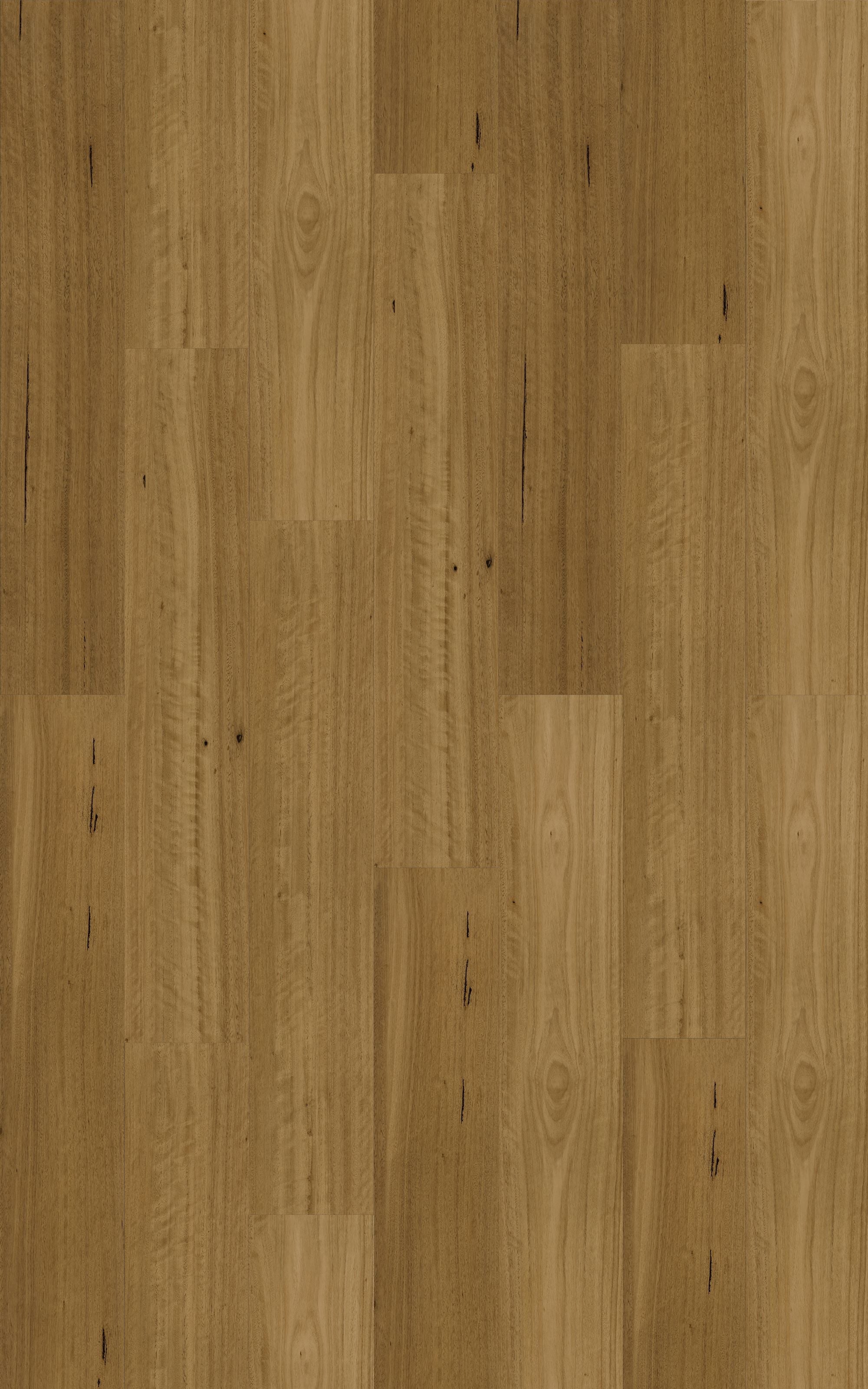 Blackbutt Traditional