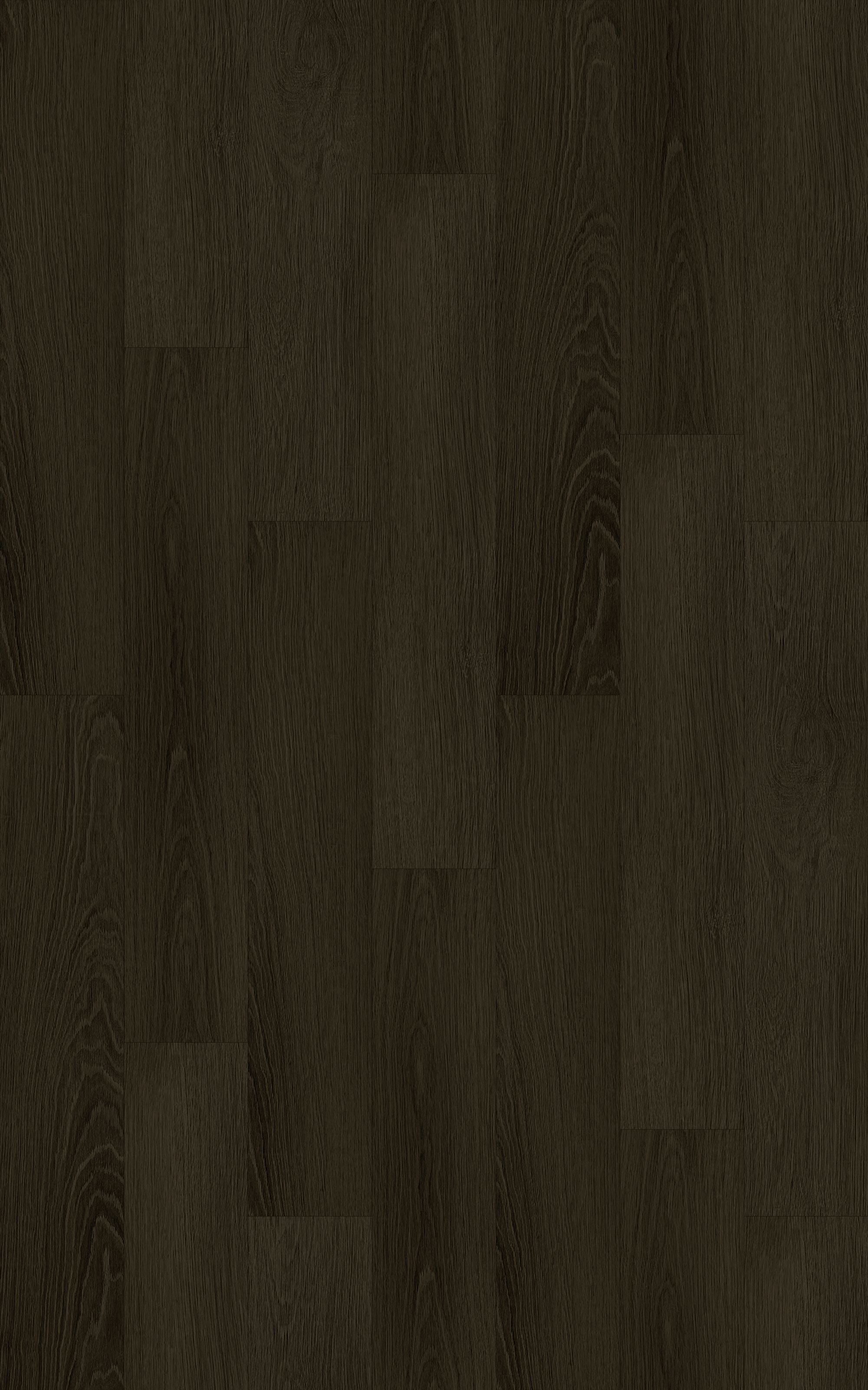 Cocoa Oak