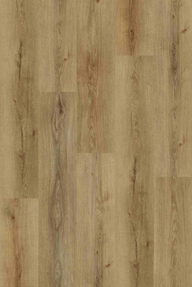 Golden Wooden SPC plank in European Oak