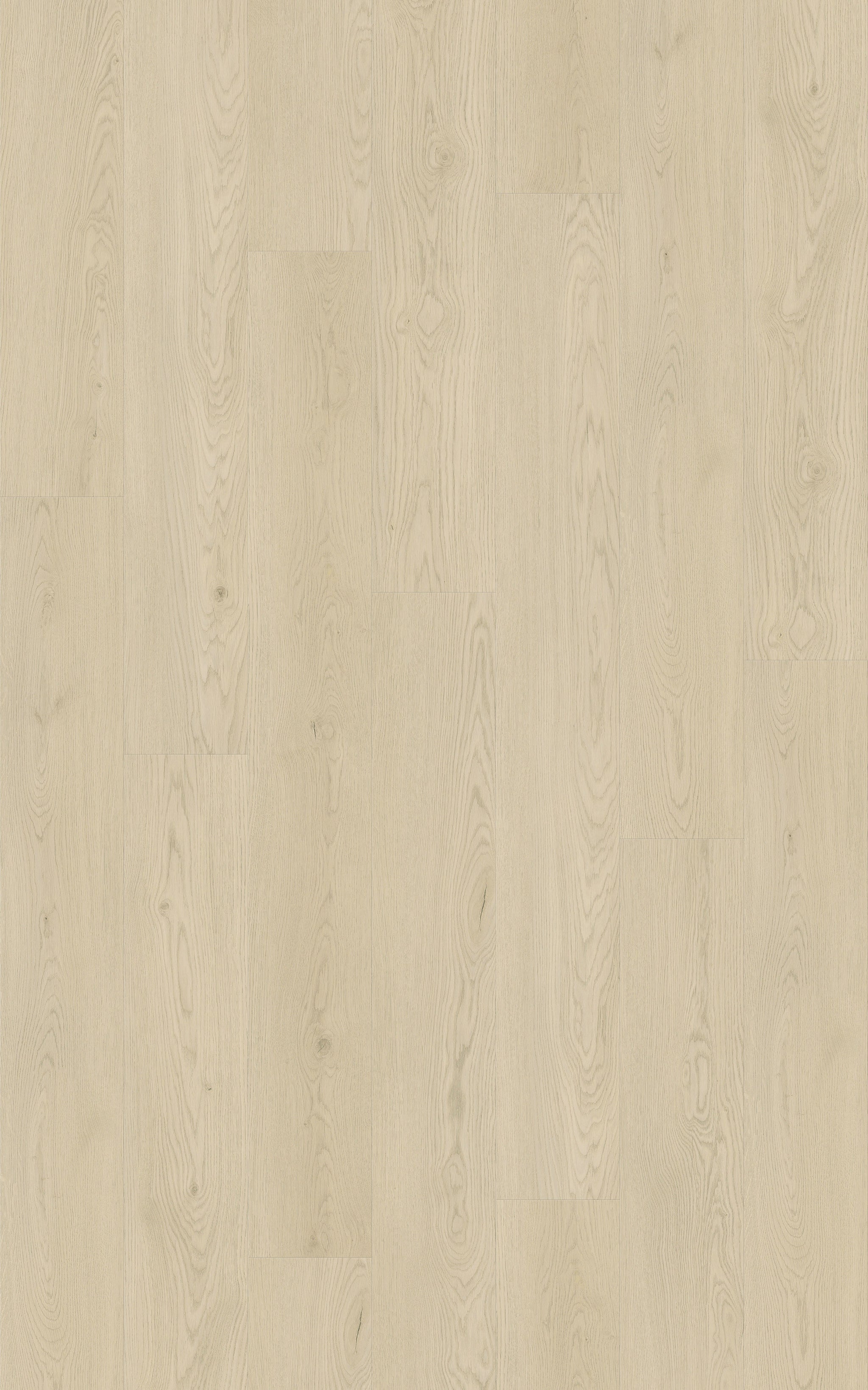 Blanc Oak