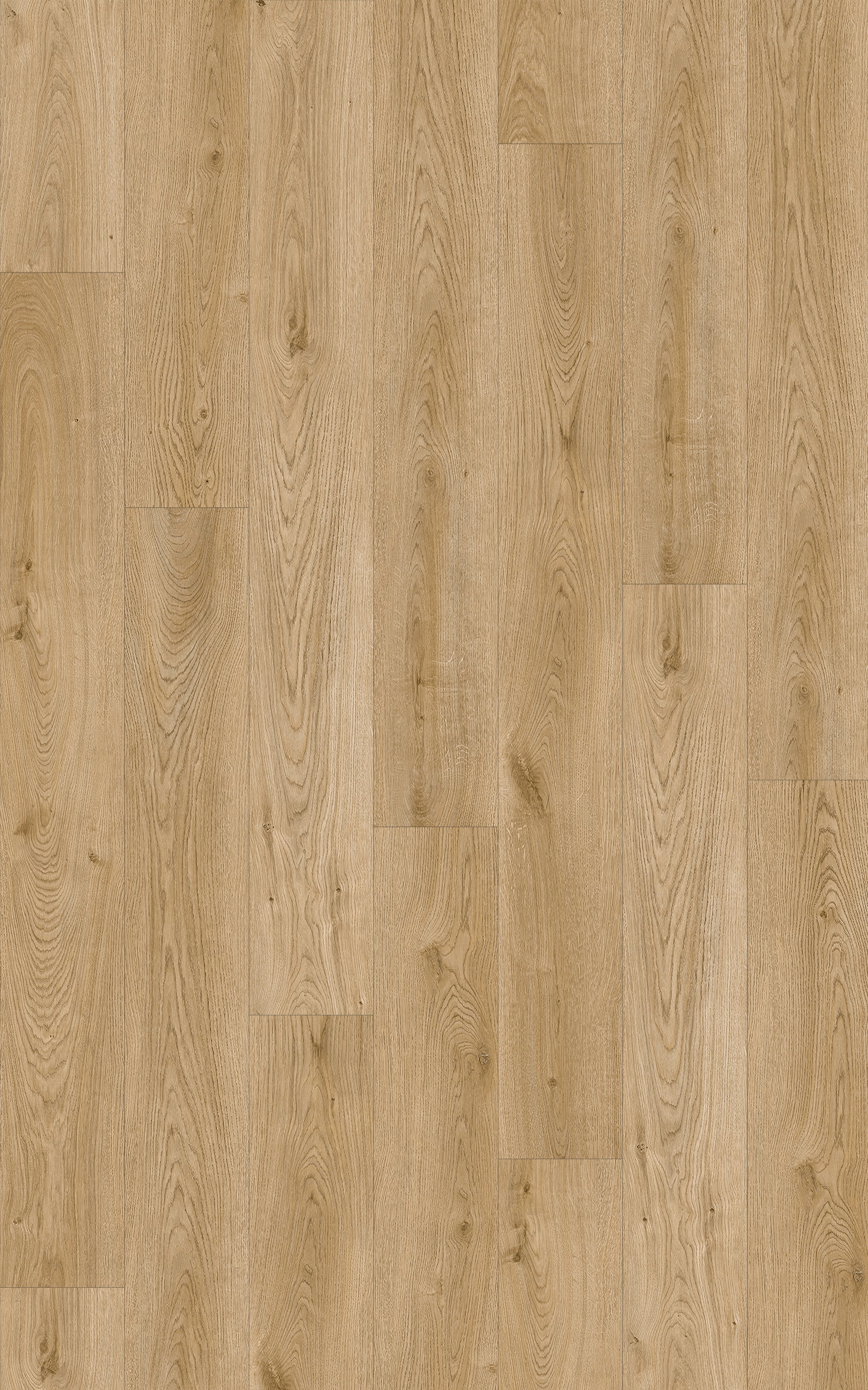 Provincial Oak