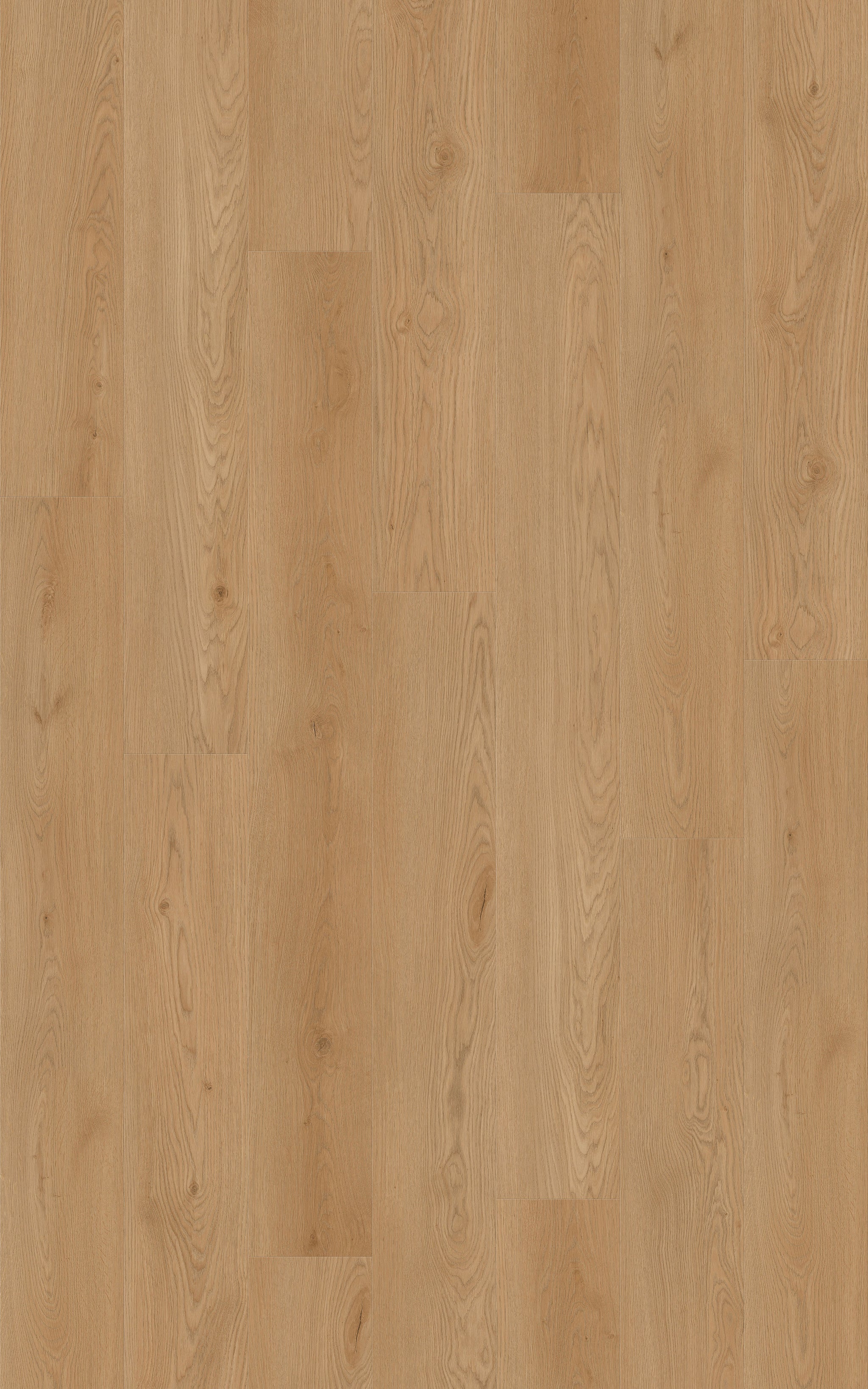 Grand Euro Oak