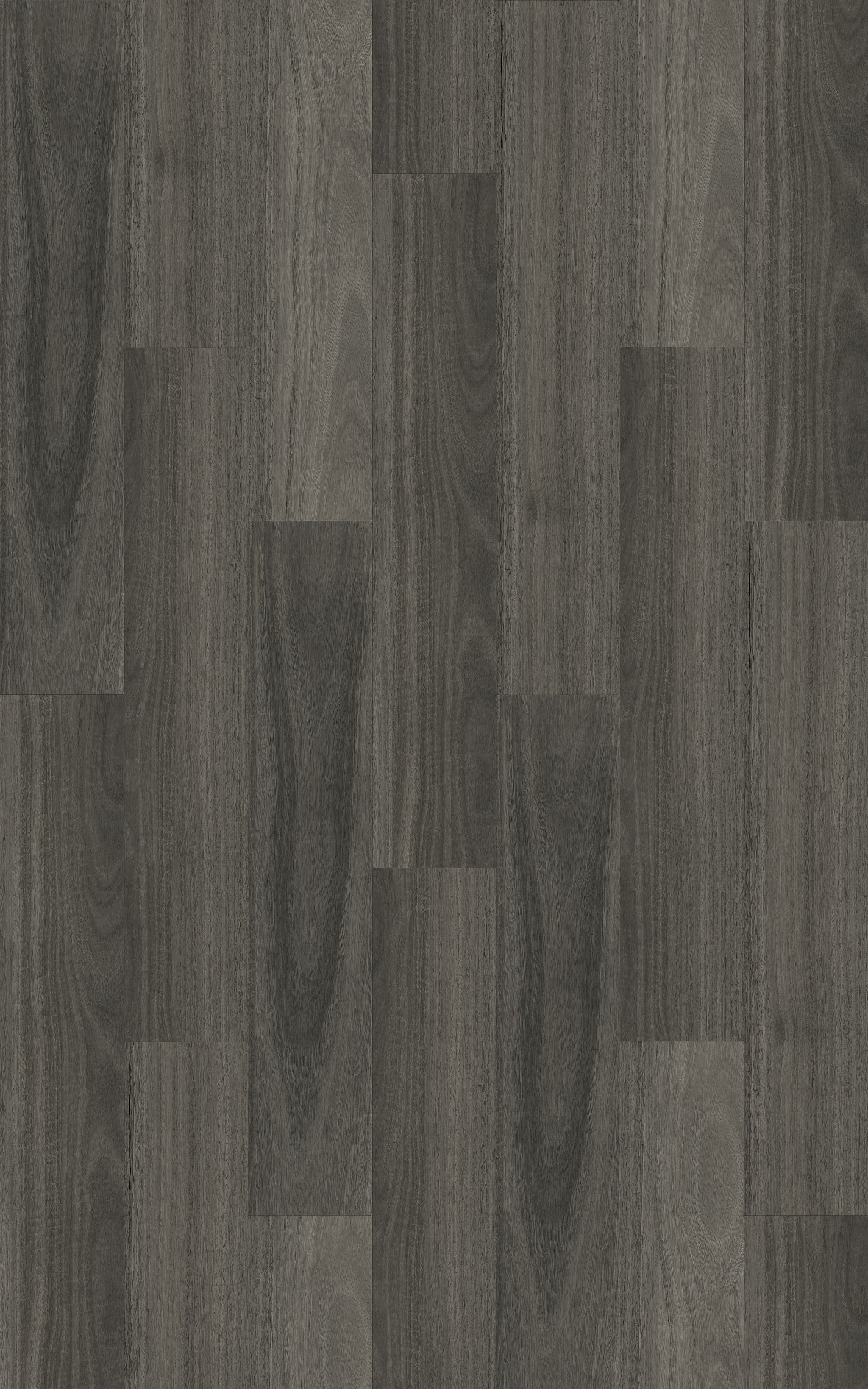 Ancient Hardwood