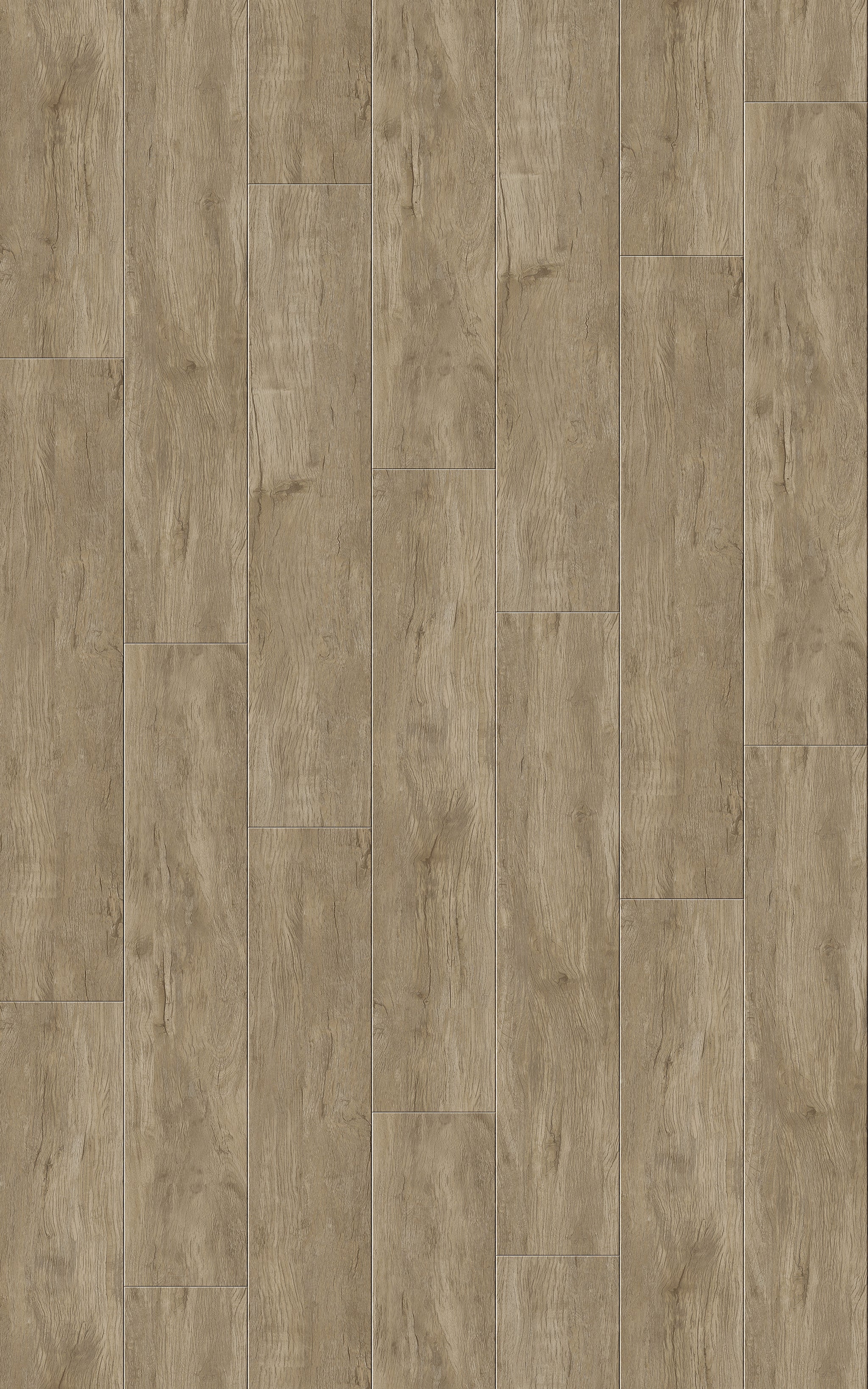 Barnyard Grey
