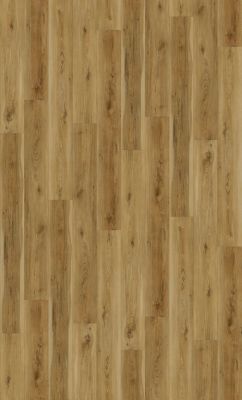 Victorian Ash