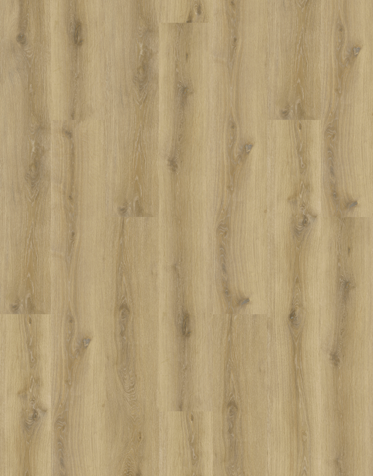Summer Oak