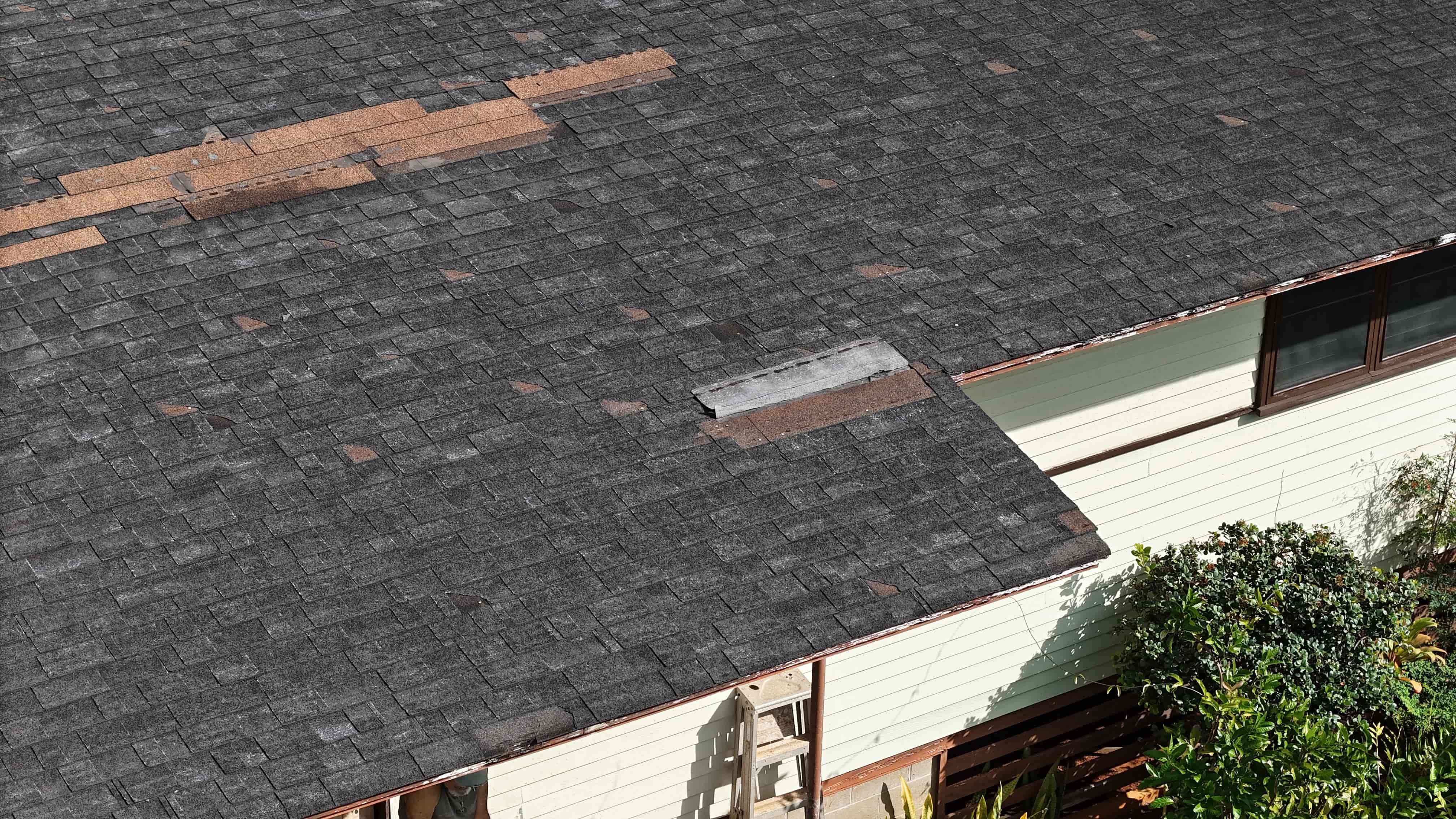 Wind-damaged shingle on Hawaiian roof