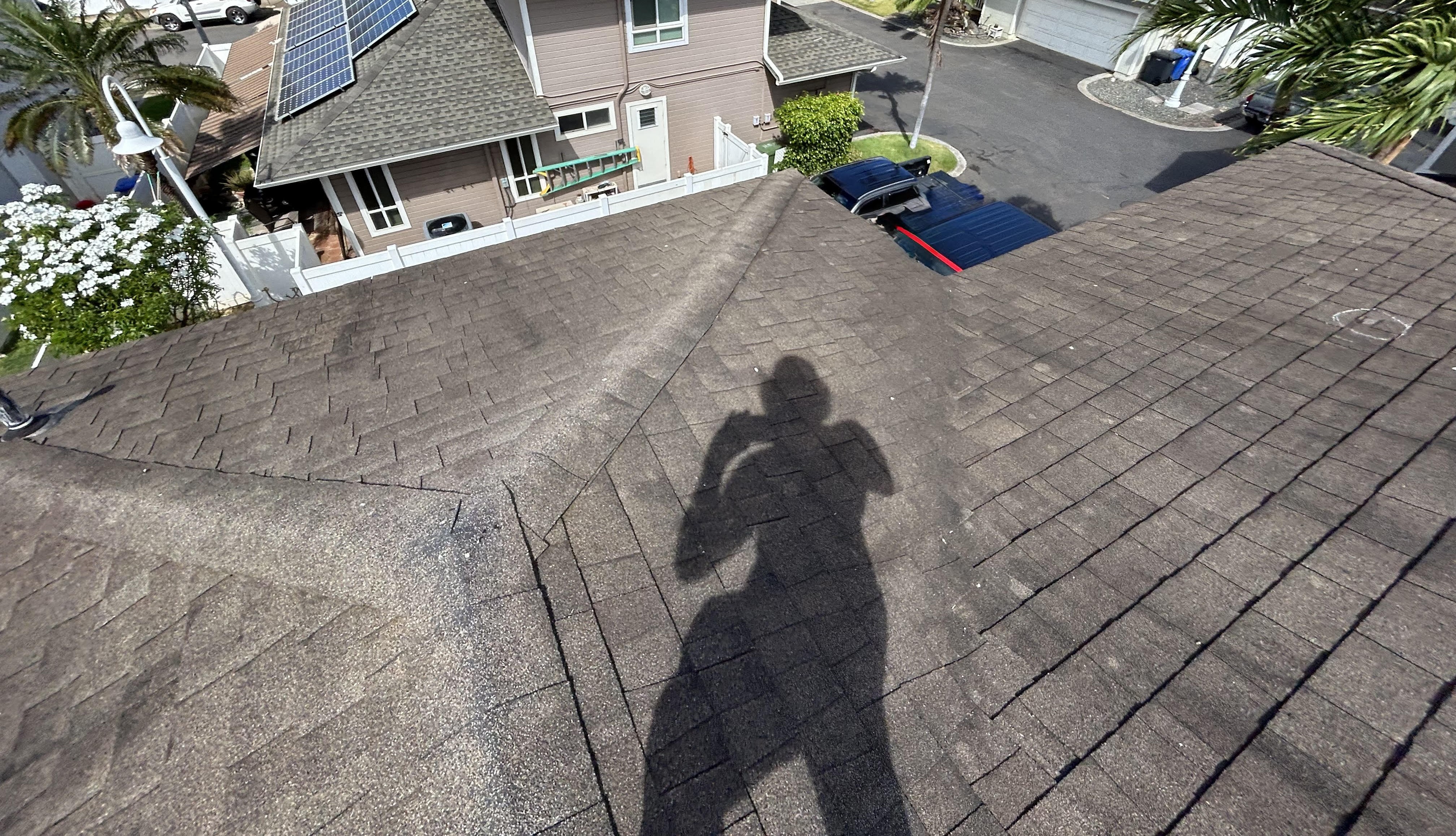 Unnamed image