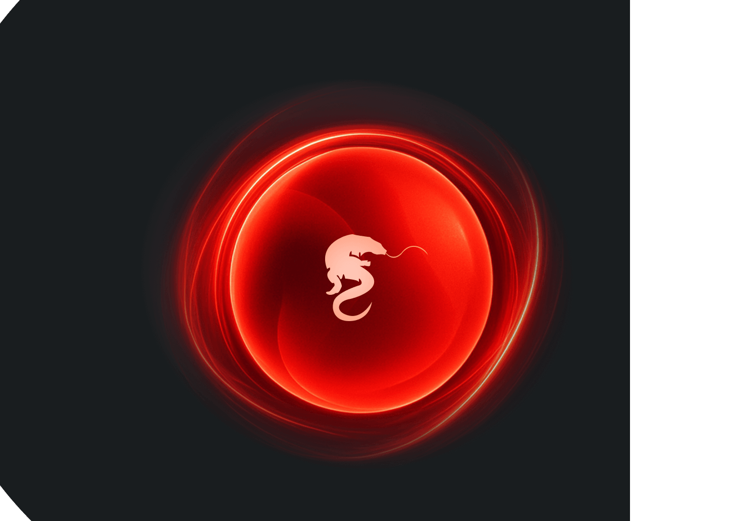 Komodo AI visual