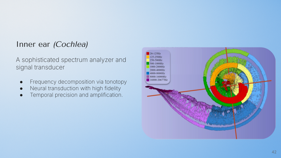Module 3 lecture slide