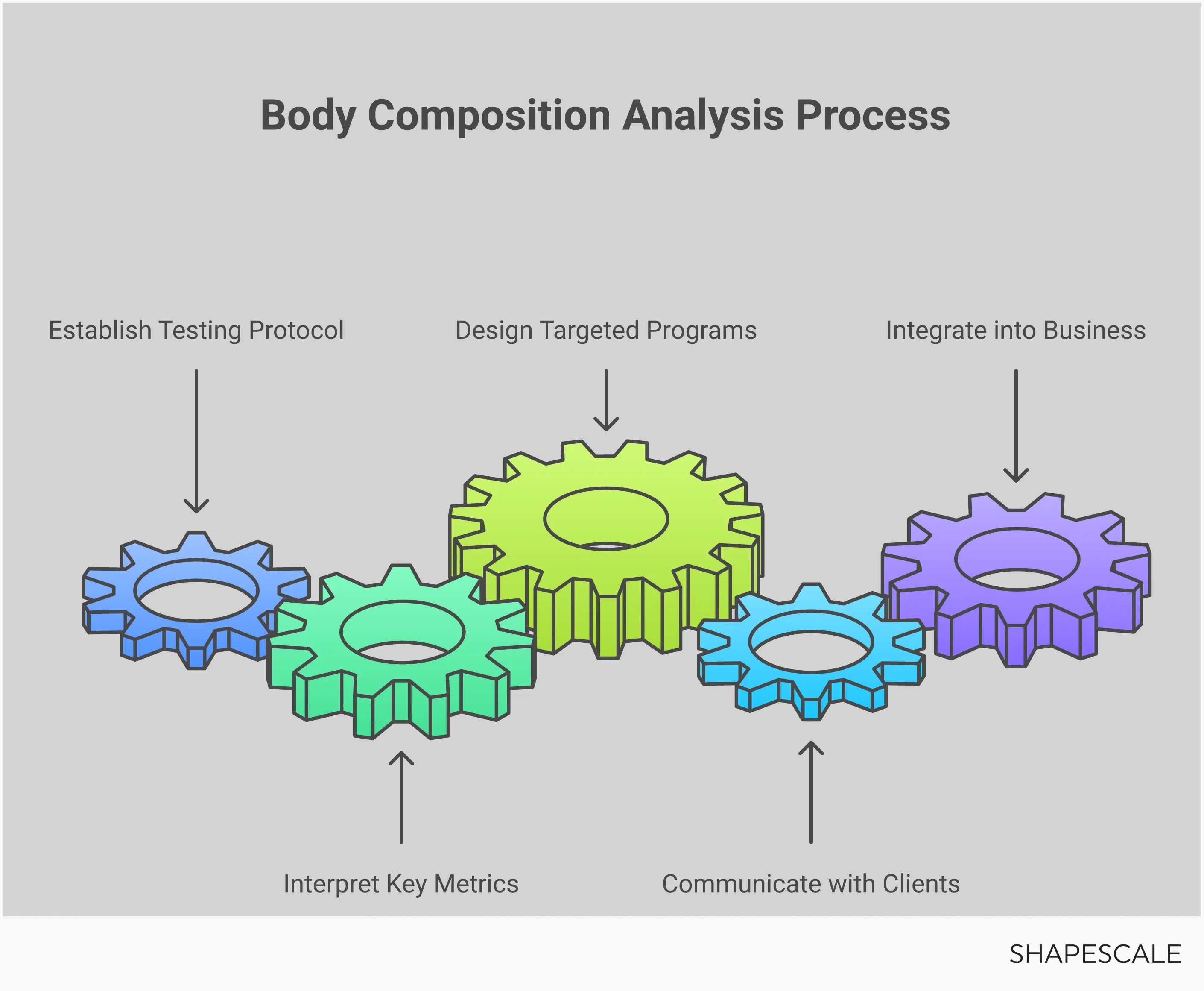 Professional infographic showing body composition analysis implementation for wellness businesses, featuring testing protocols, metric interpretation, program design strategies, client communication methods, and business integration approaches with specific data points and actionable steps for fitness professionals and health clubs