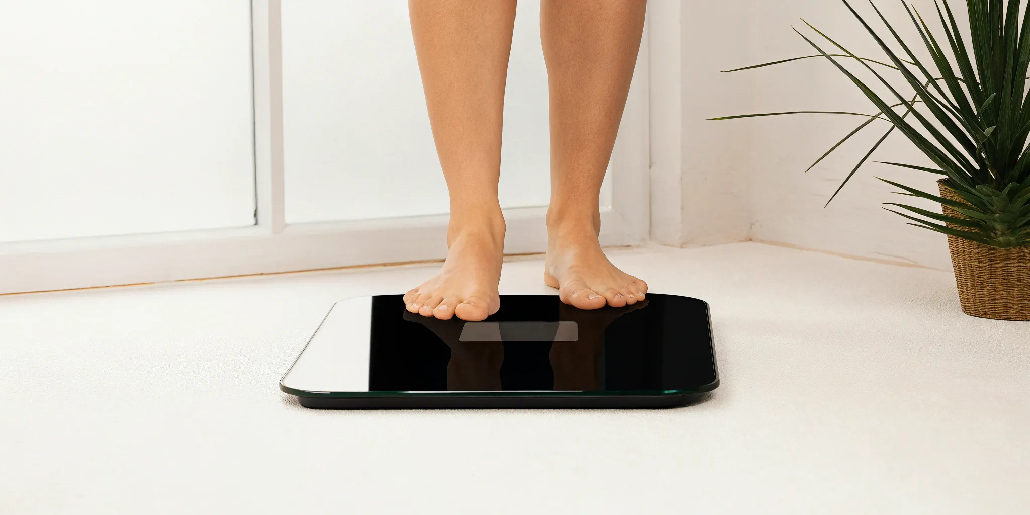 How Accurate Are Body Fat Scales? A Pro's Guide