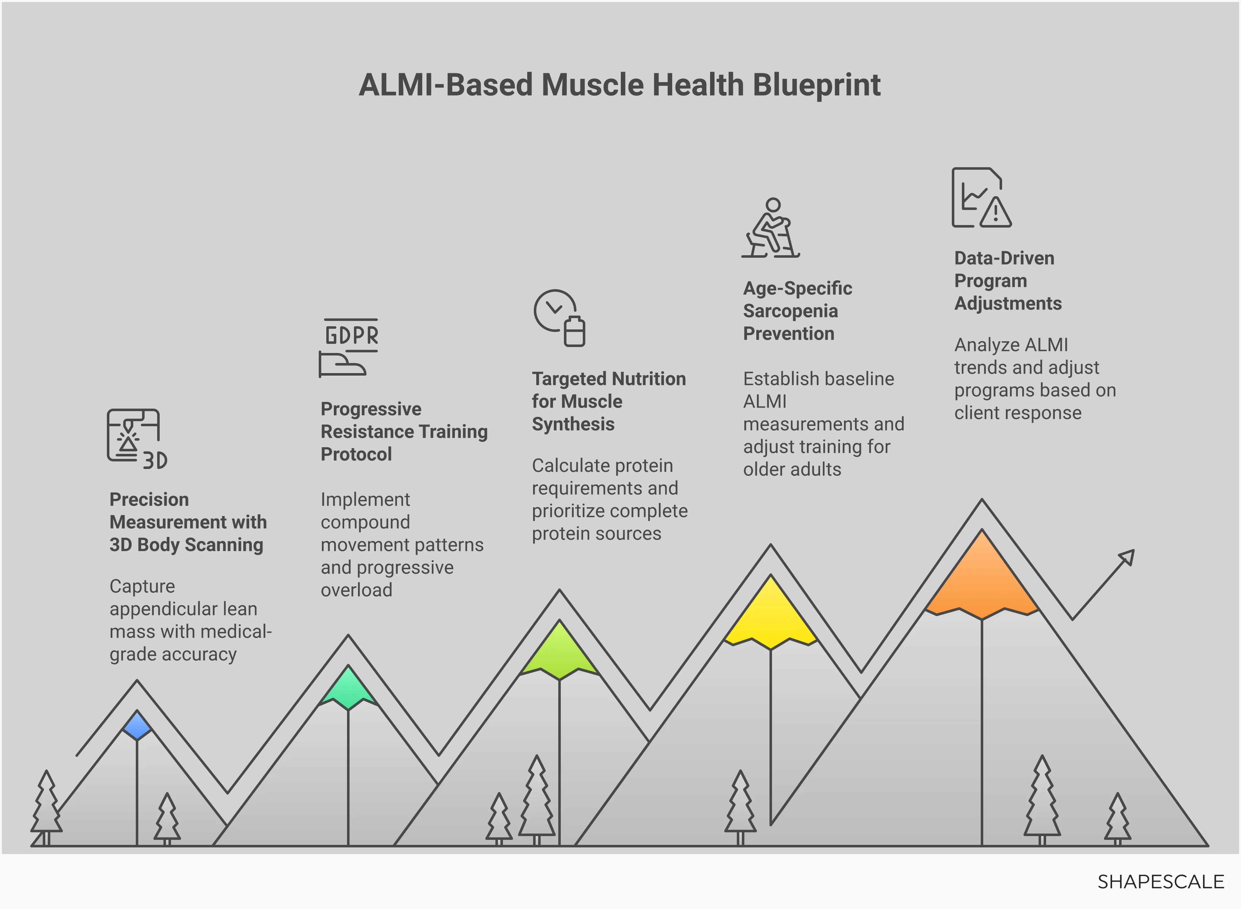 ALMI: Your Client's Muscle Health Blueprint Professional infographic showing ALMI measurement techniques, resistance training protocols, nutrition strategies, age-specific prevention methods, and data-driven program adjustments for wellness professionals helping clients build and maintain appendicular lean mass through scientific approaches to muscle health and sarcopenia prevention