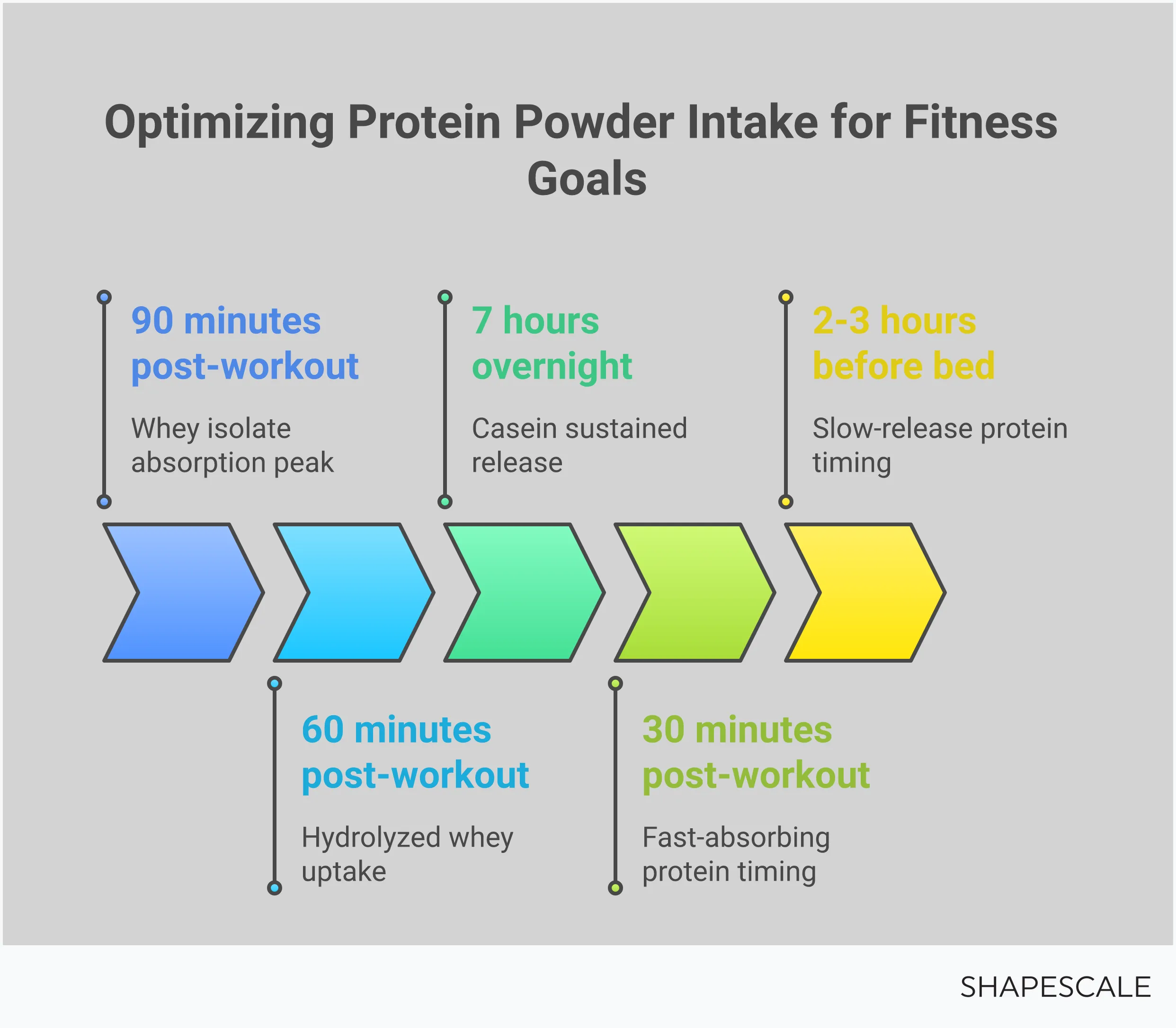 Expert Protein Powder Selection Framework Professional infographic showing five key sections for selecting high-quality protein powder: amino acid profile analysis with leucine requirements, third-party testing certification logos and standards, bioavailability timing charts for different protein types, macronutrient calculation formulas and daily distribution, and ingredient quality assessment criteria with grass-fed and organic indicators