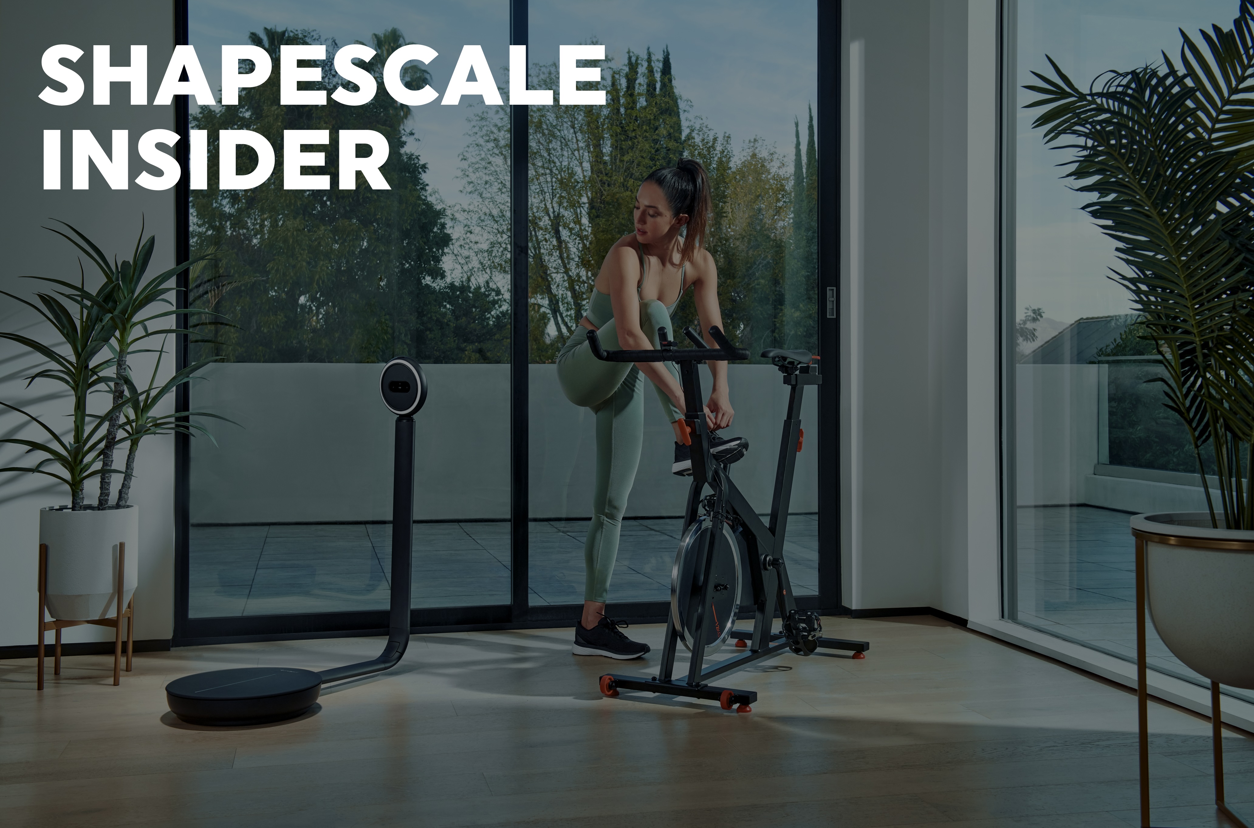 ShapeScale Insider: February 2026