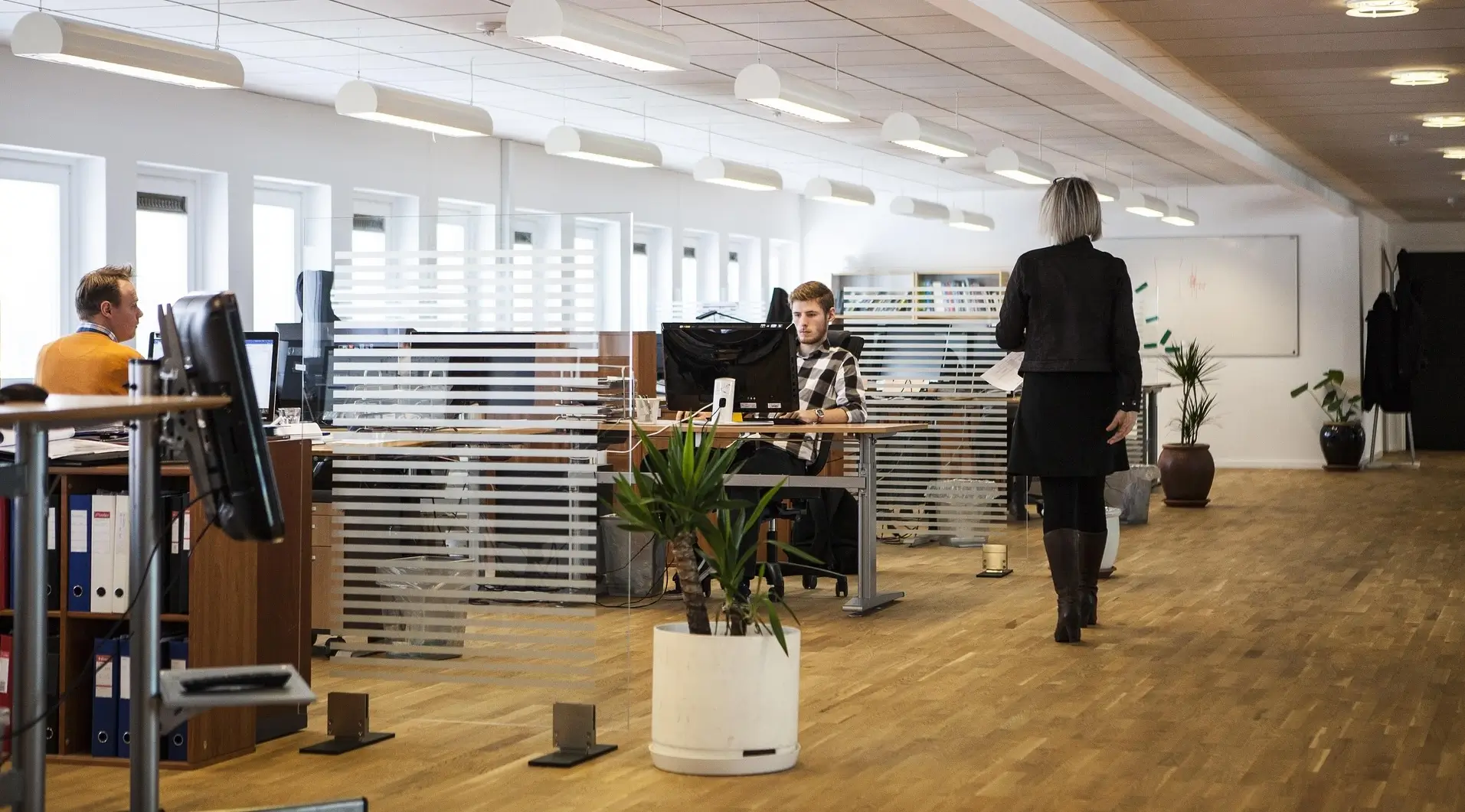 Lawyer Legal Jobs - An Overview