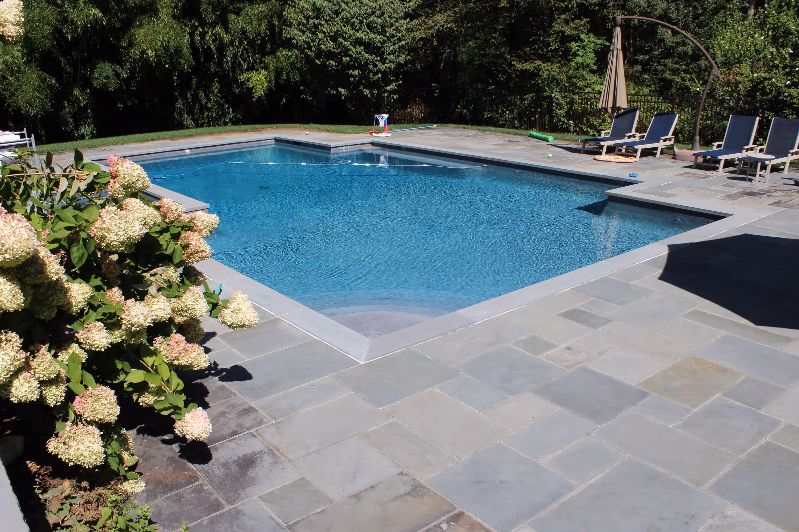 Luxury inground pool with bluestone patio, lounge chairs, and hydrangea landscaping in New Canaan, CT by New Canaan Pool Service