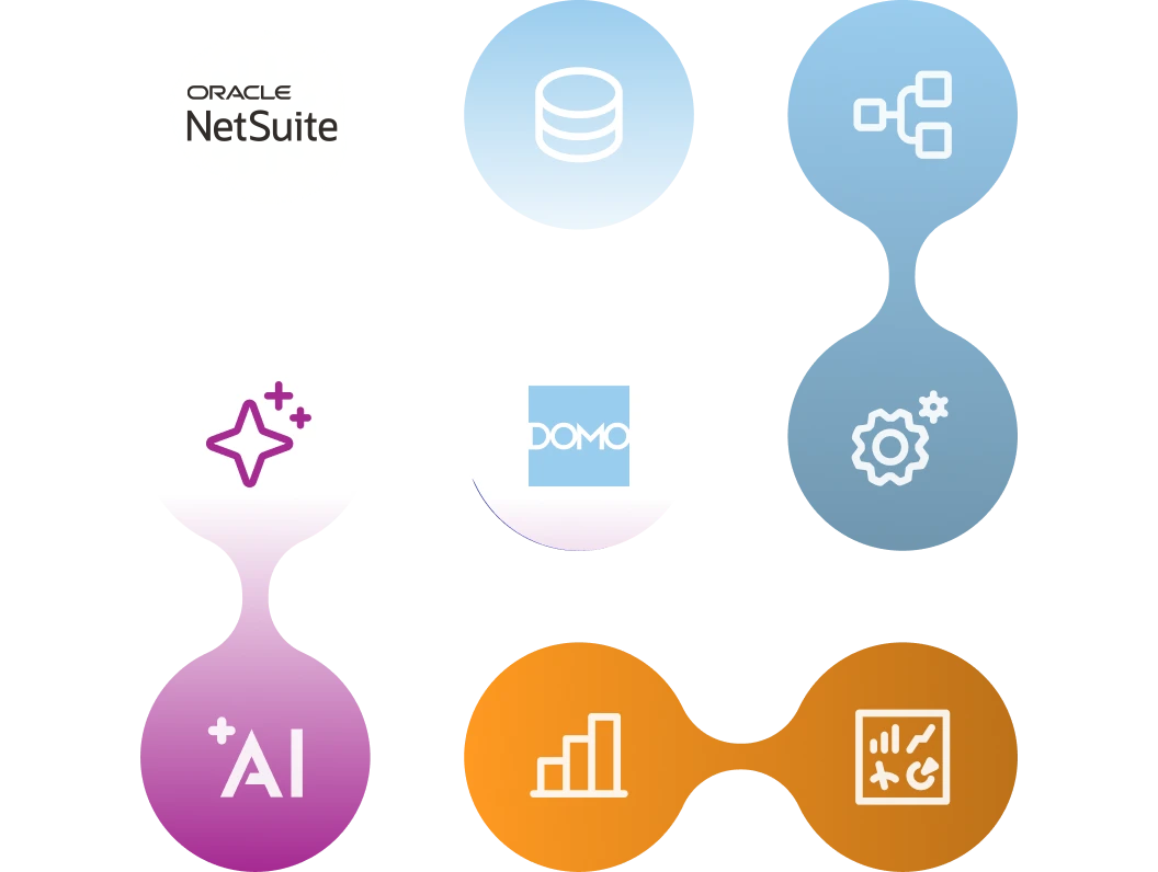 Diagram showing Oracle NetSuite and Domo logos connected to icons representing AI, data storage, workflow, automation, analytics, and strategy.