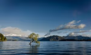 professional strengths