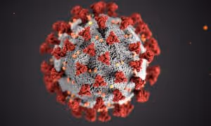 coronavirus jobs