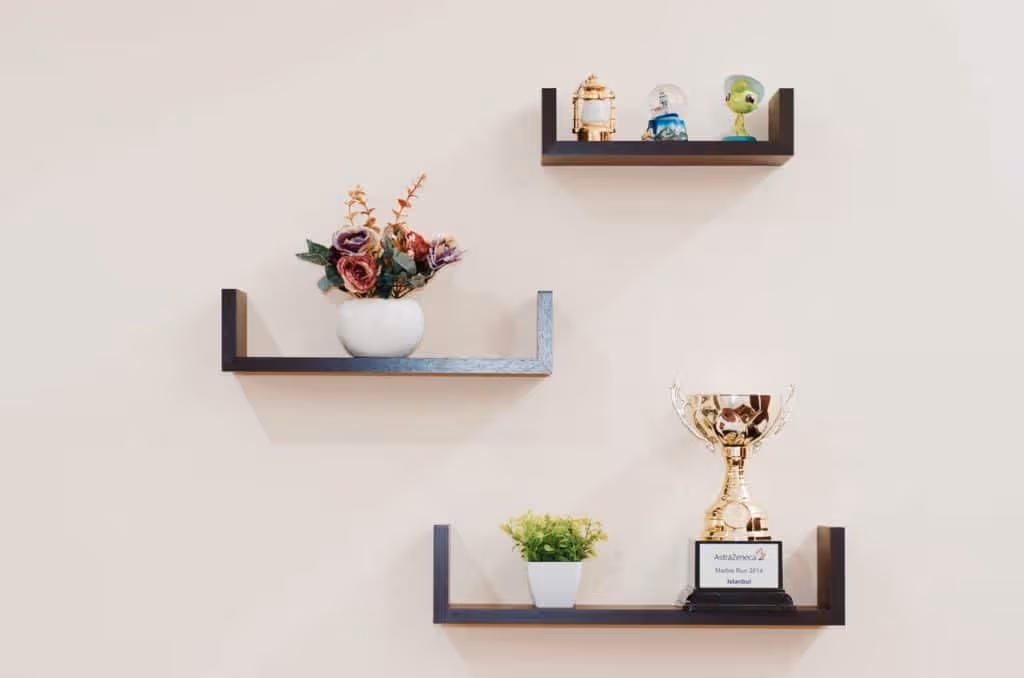 plant-prize-shelves-74942
