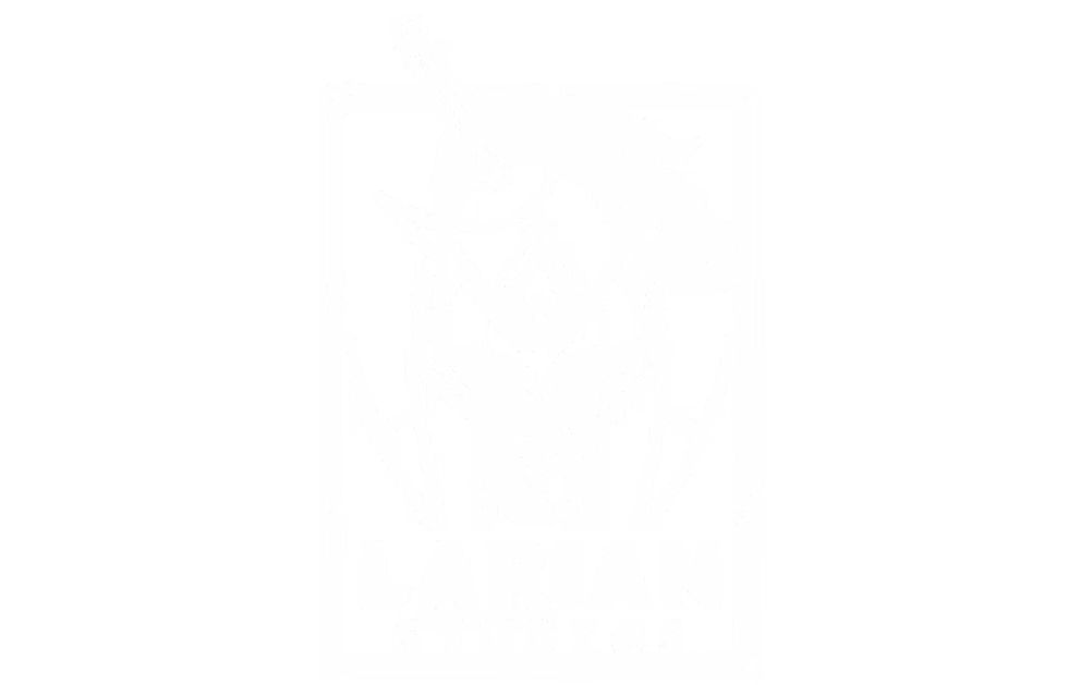 Larian Studios