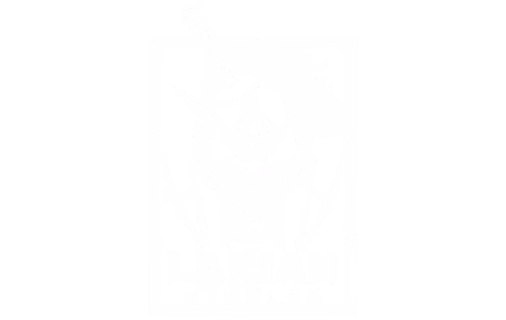 Larian Studios
