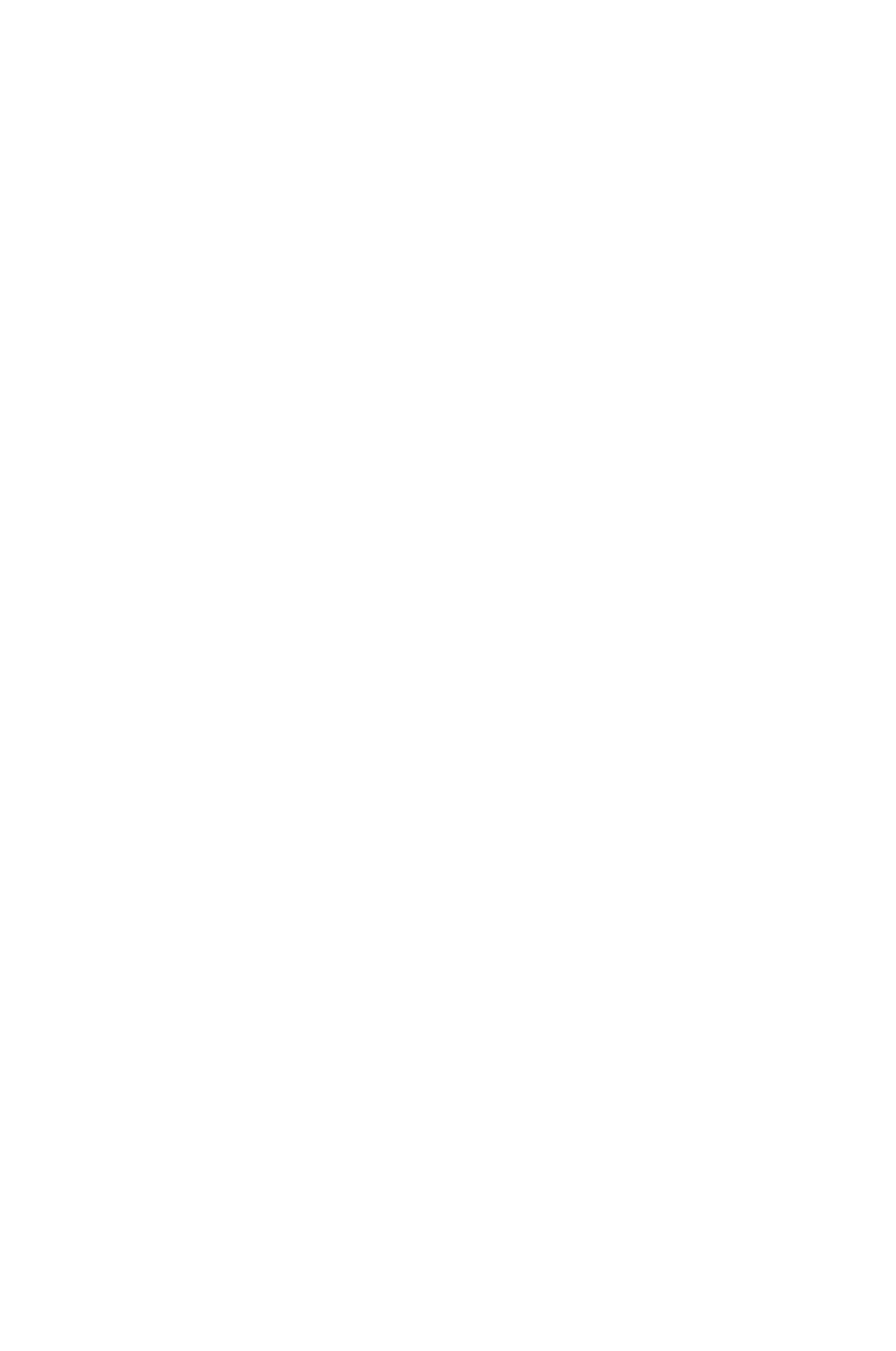 Rabcat Game Art