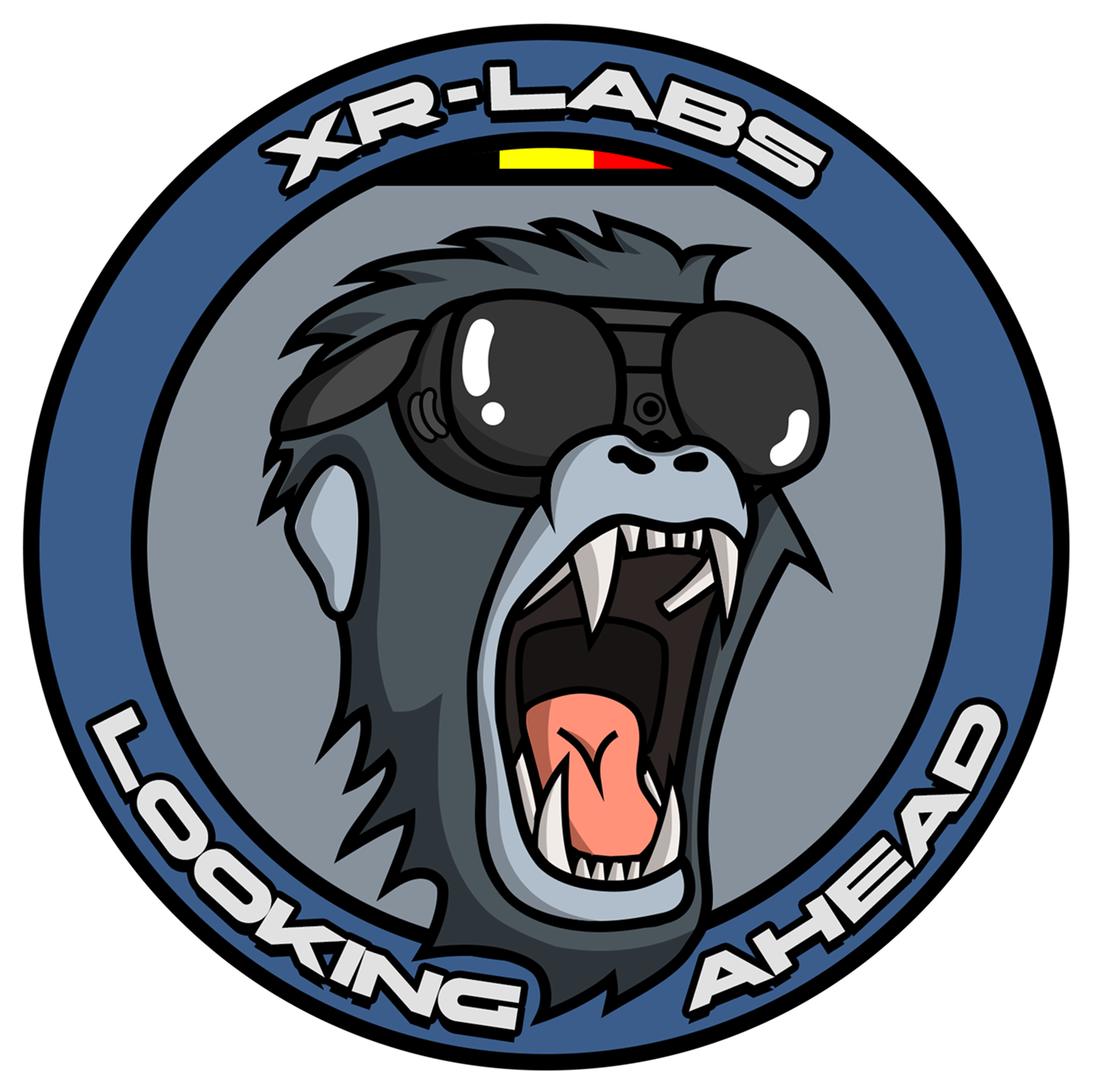 XR LABS