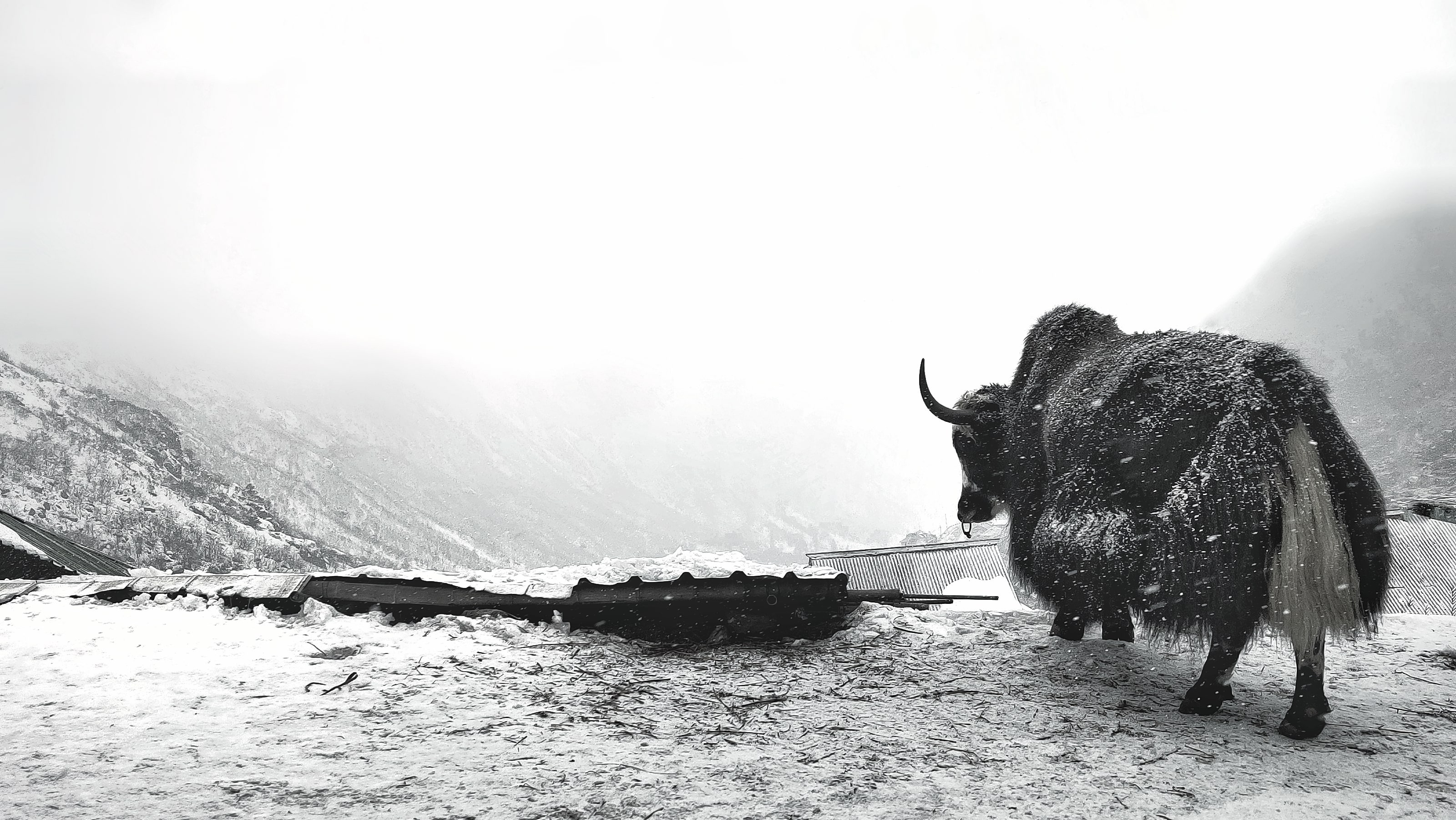 Sikkim