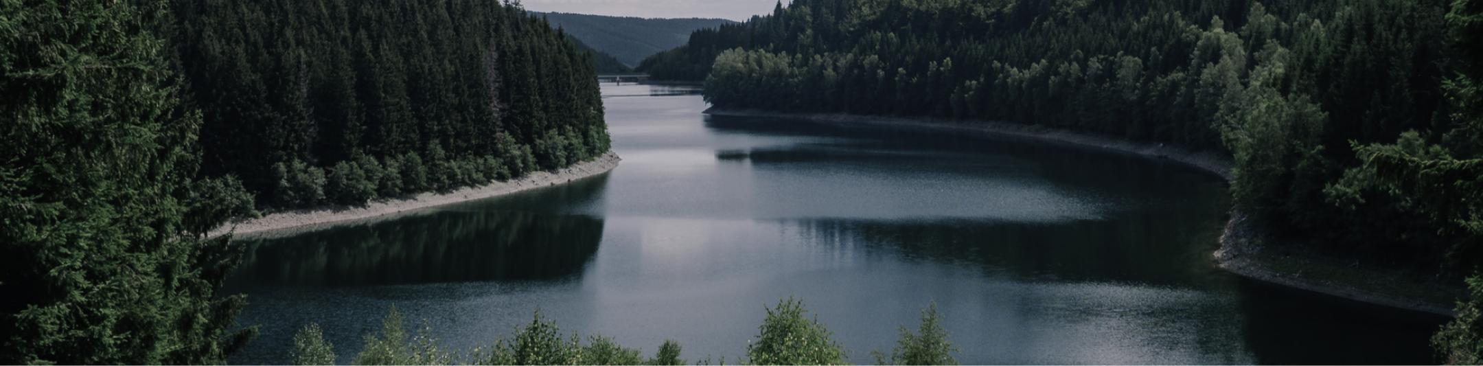 Background for header