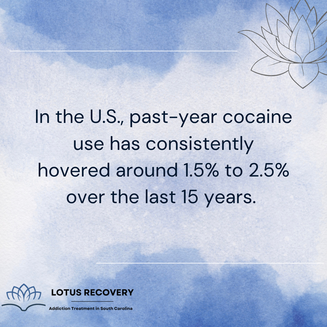 A graphic image from an addiction treatment center in South Carolina showing past-year cocaine statistics