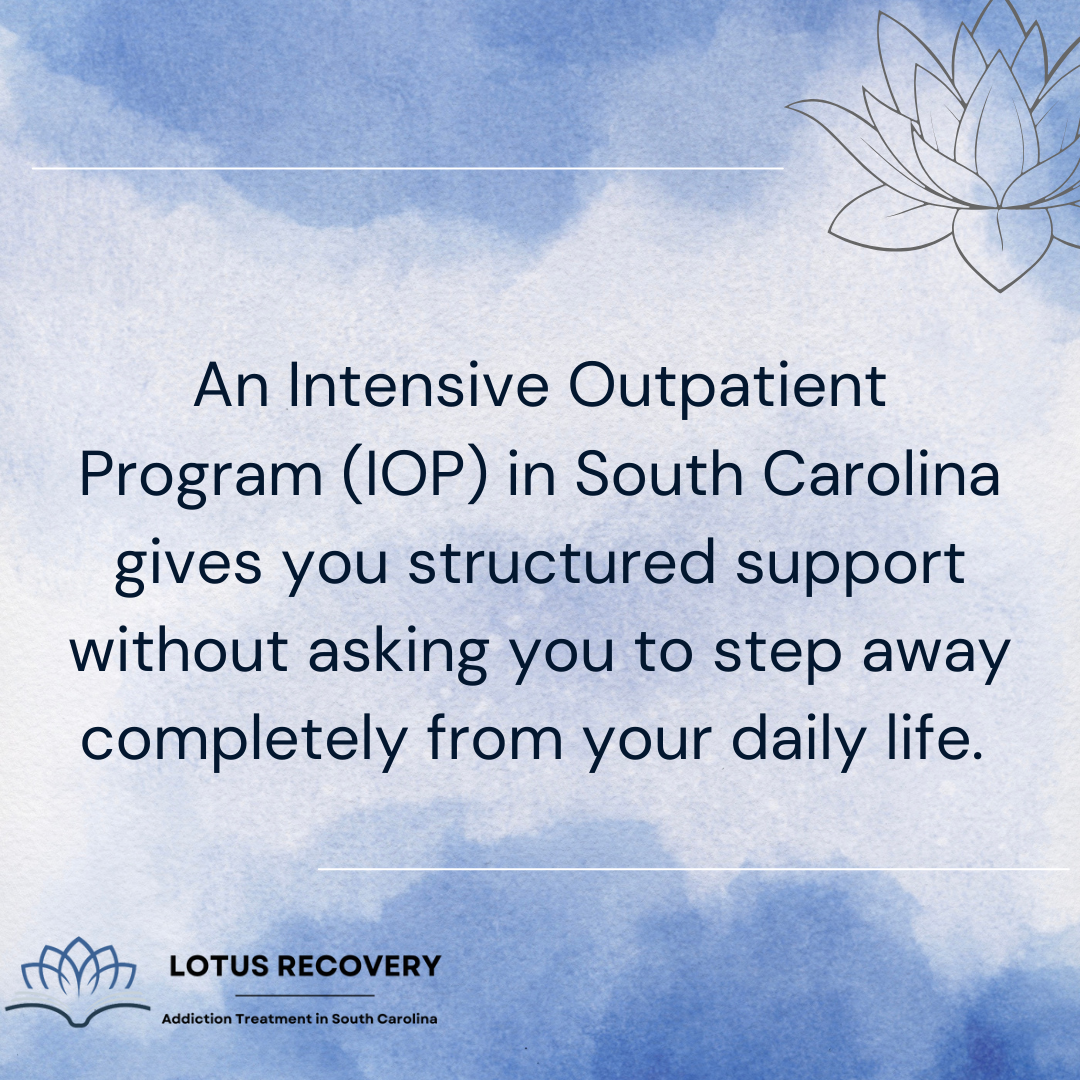 A graphic image defining what is an IOP, for a blog comparing IOP vs PHP