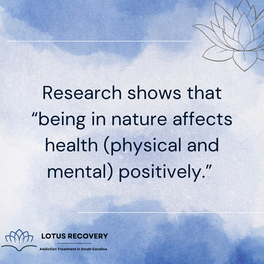 A graphic image from an addiction treatment center in South Carolina highlighting research that nature positively impacts physical and mental health