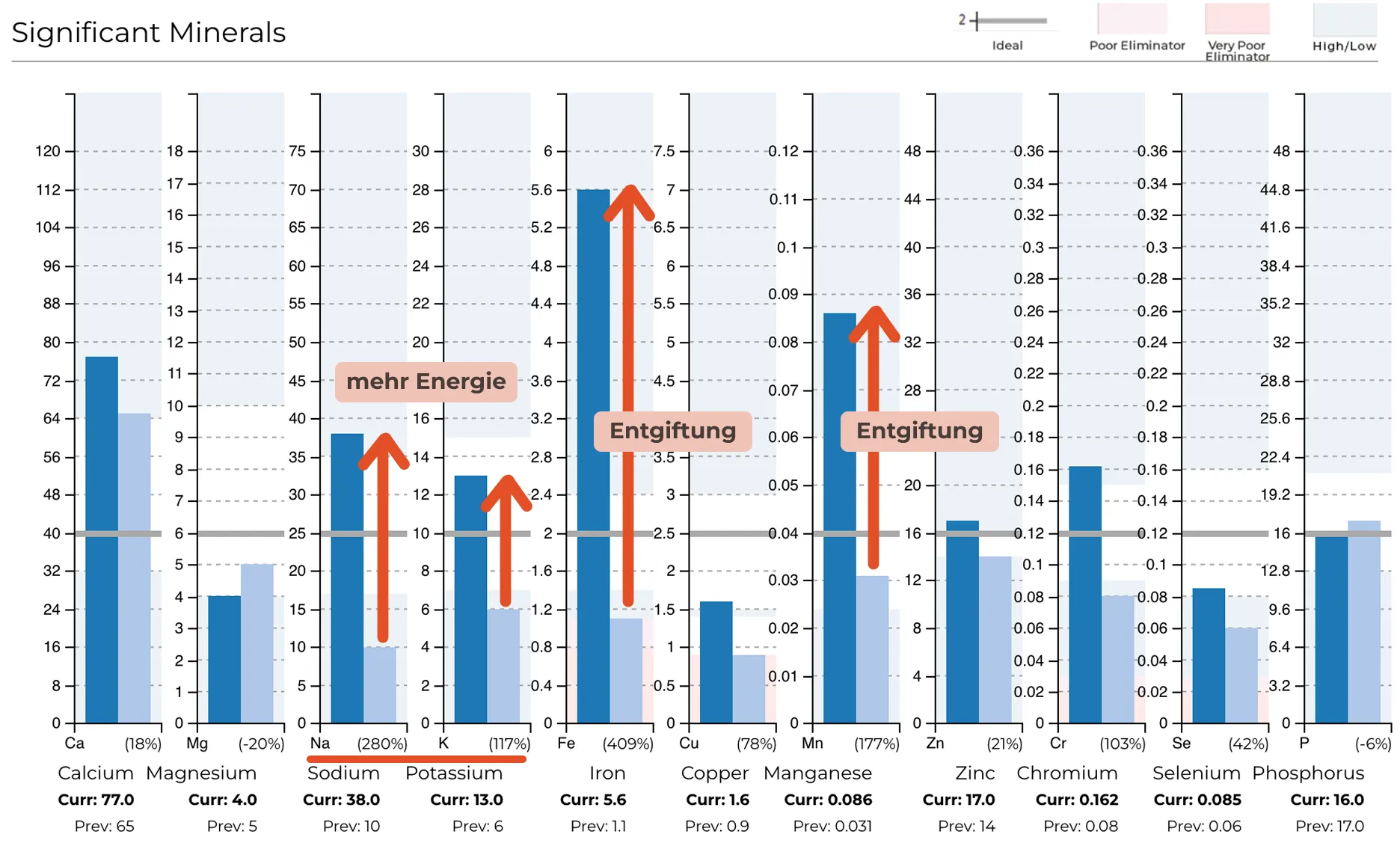 Haarmineralanalyse-veränderungen