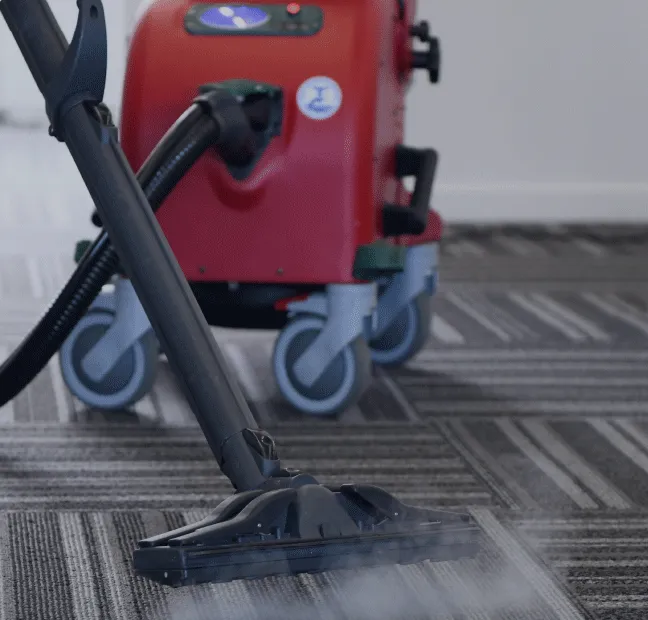 clean corp staff cleaning