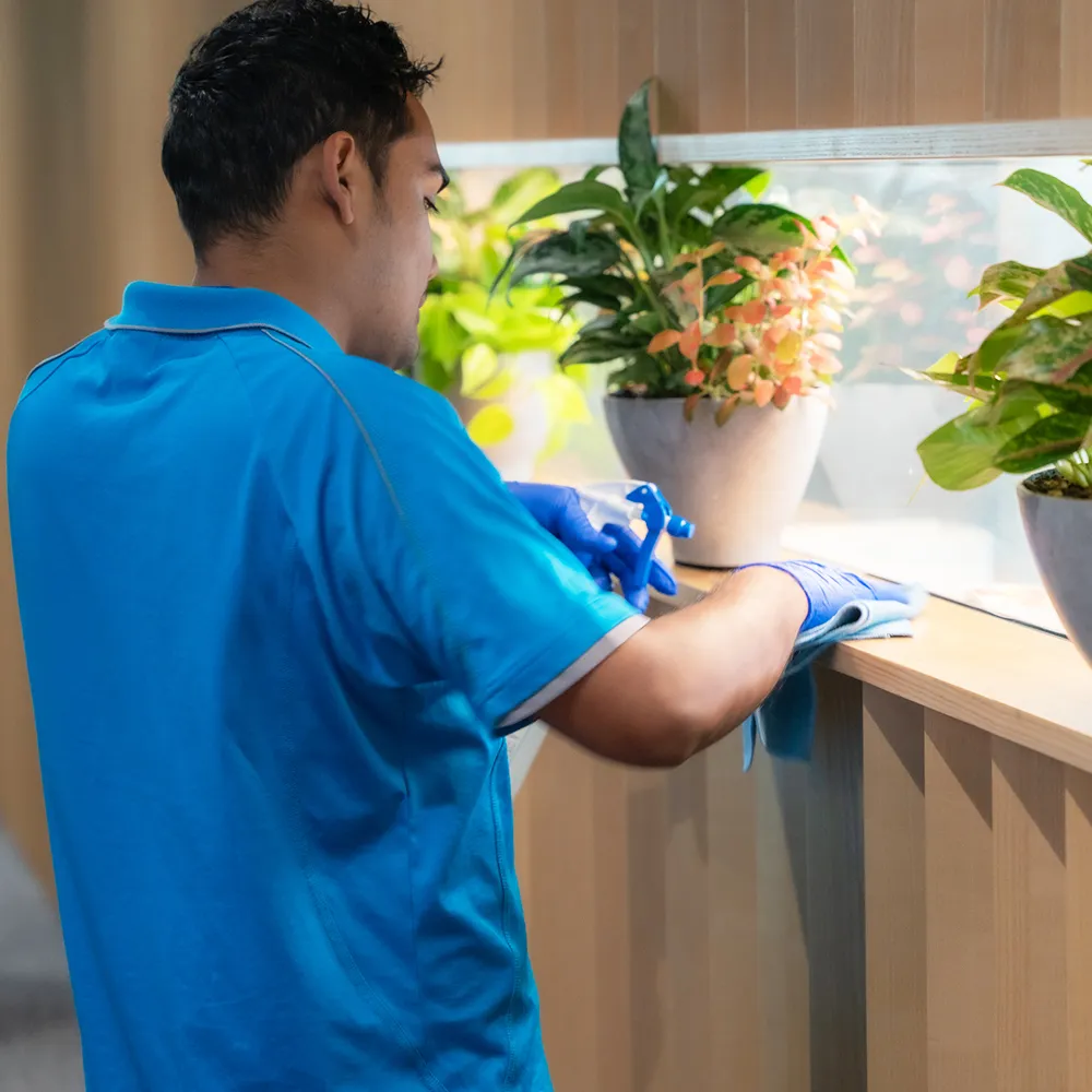 clean corp staff cleaning